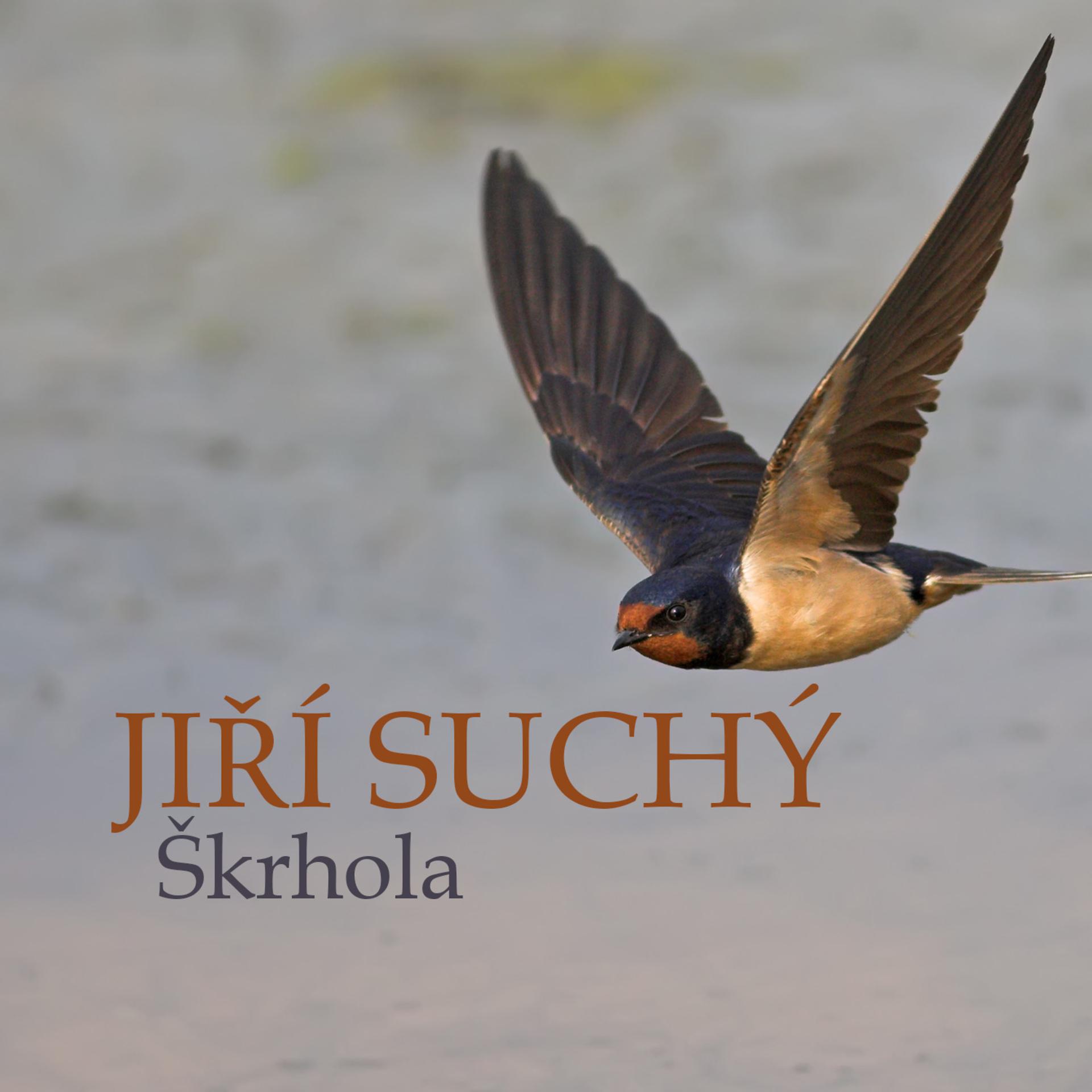 Постер альбома Škrhola