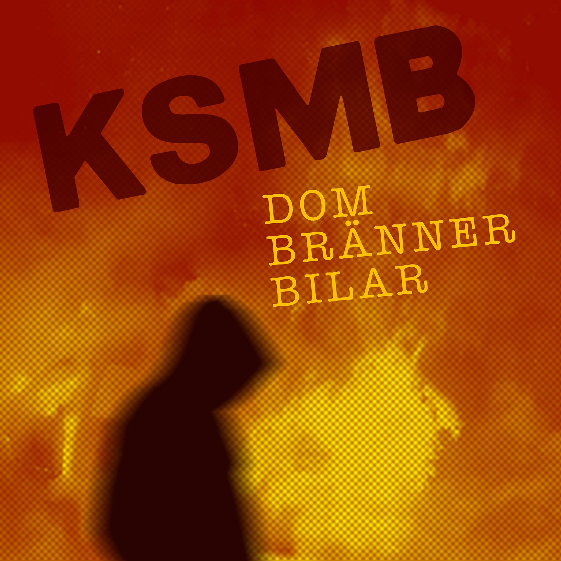 Постер альбома Dom bränner bilar