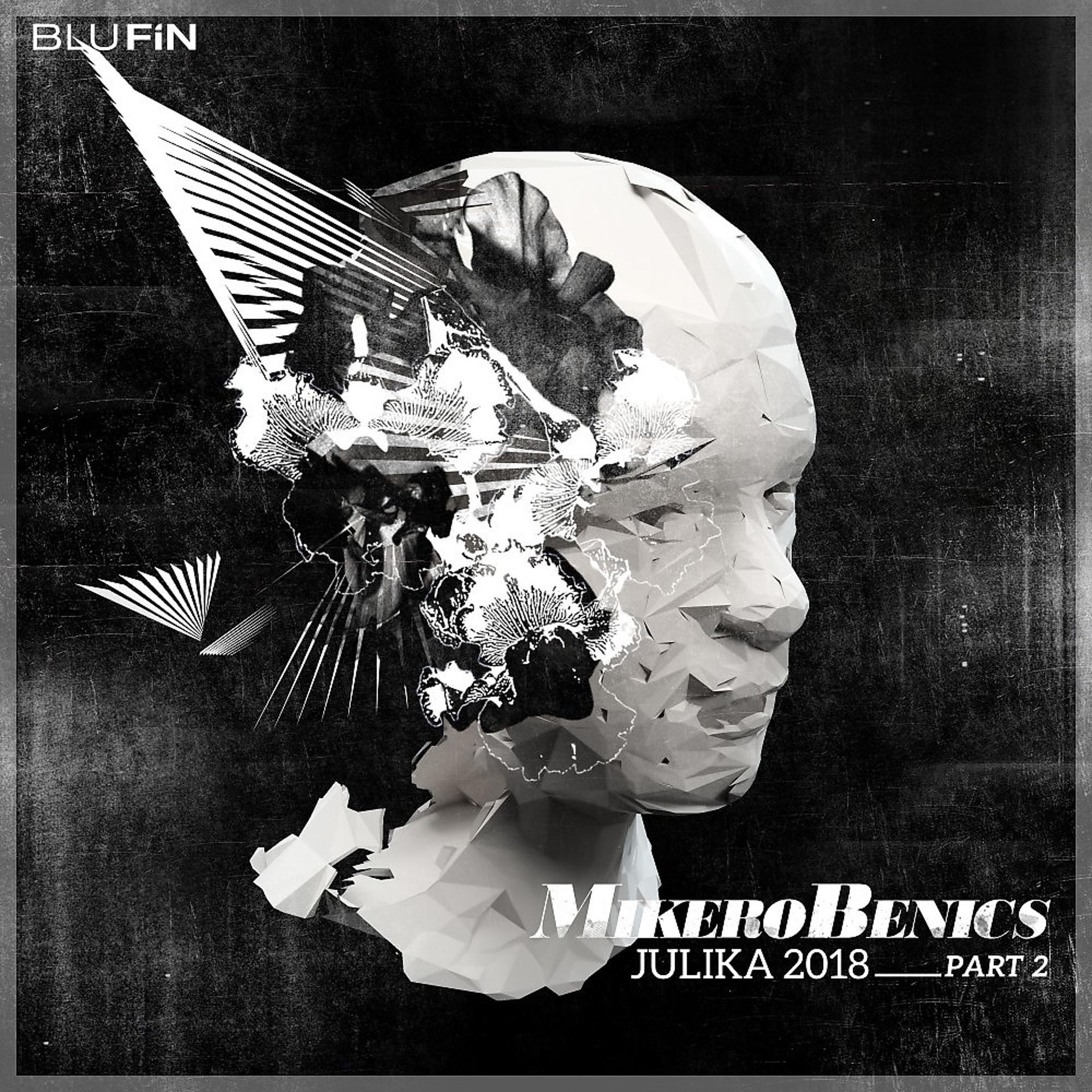 Постер альбома Julika 2018, Pt. 2