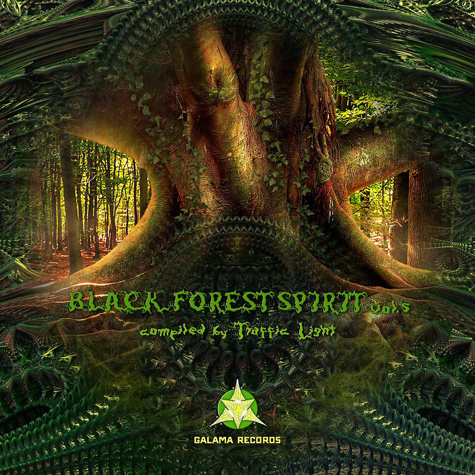 Постер альбома Black Forest Spirit, Vol. 5