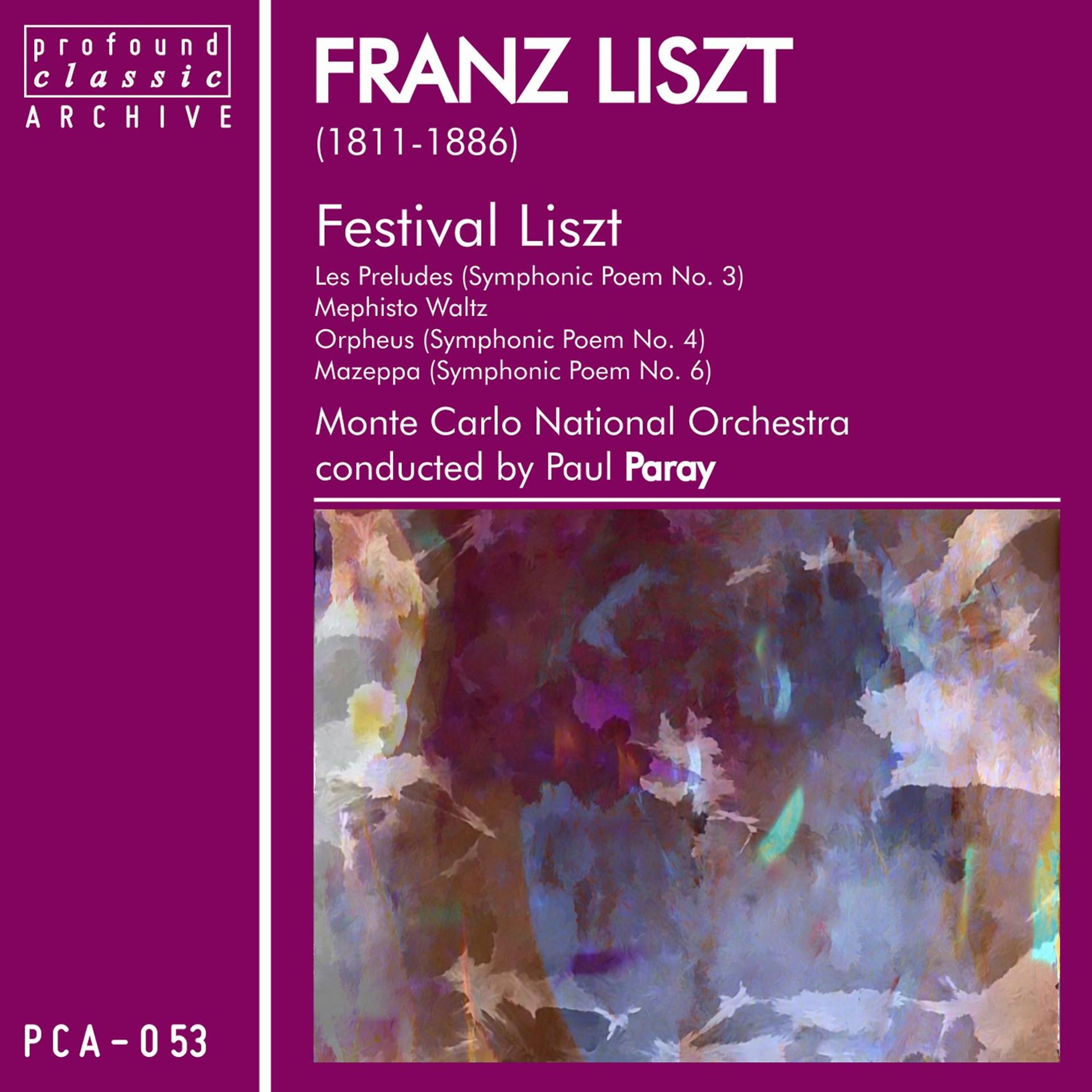 Постер альбома Festival Liszt