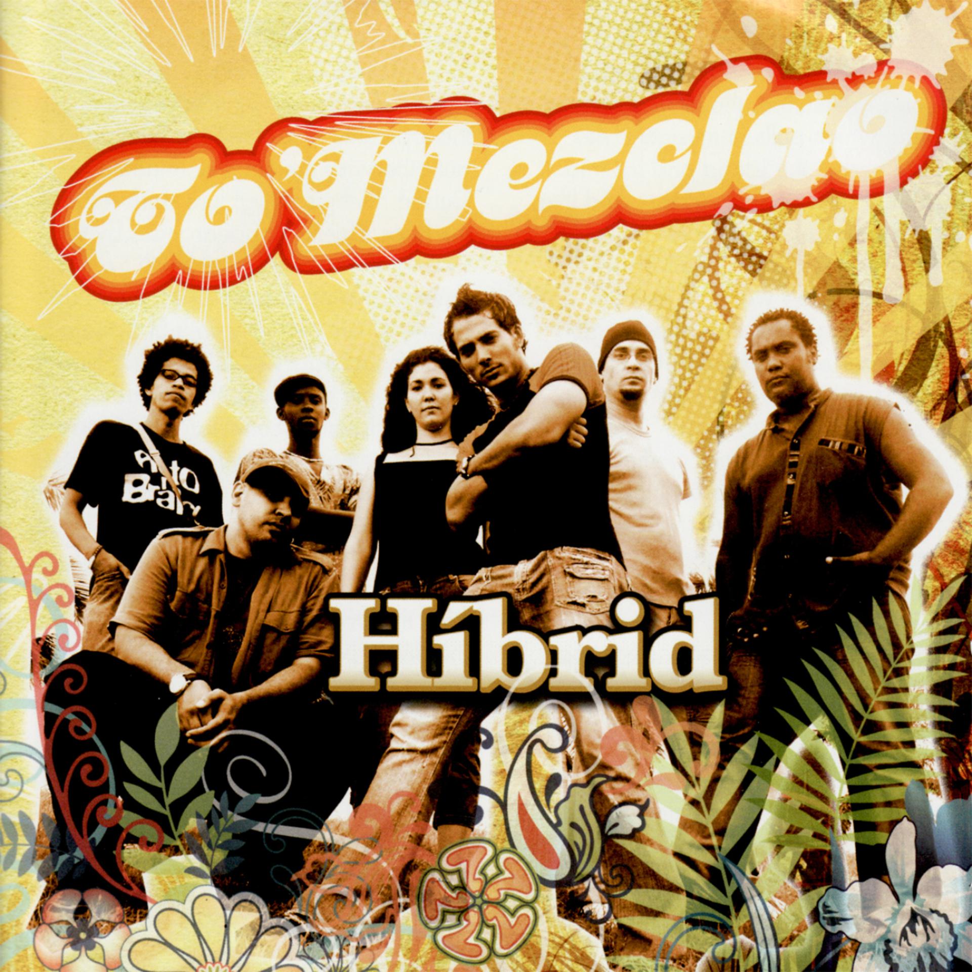 Постер альбома Hibrid