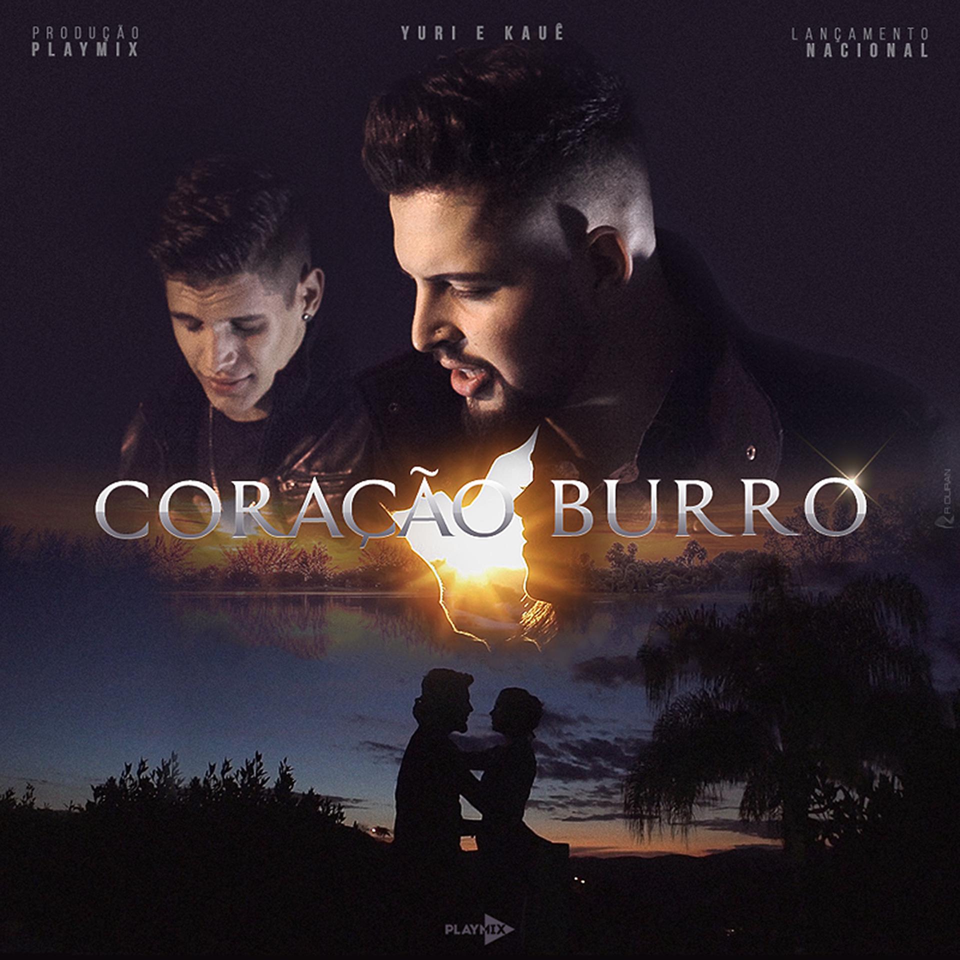 Постер альбома Coração Burro - Single