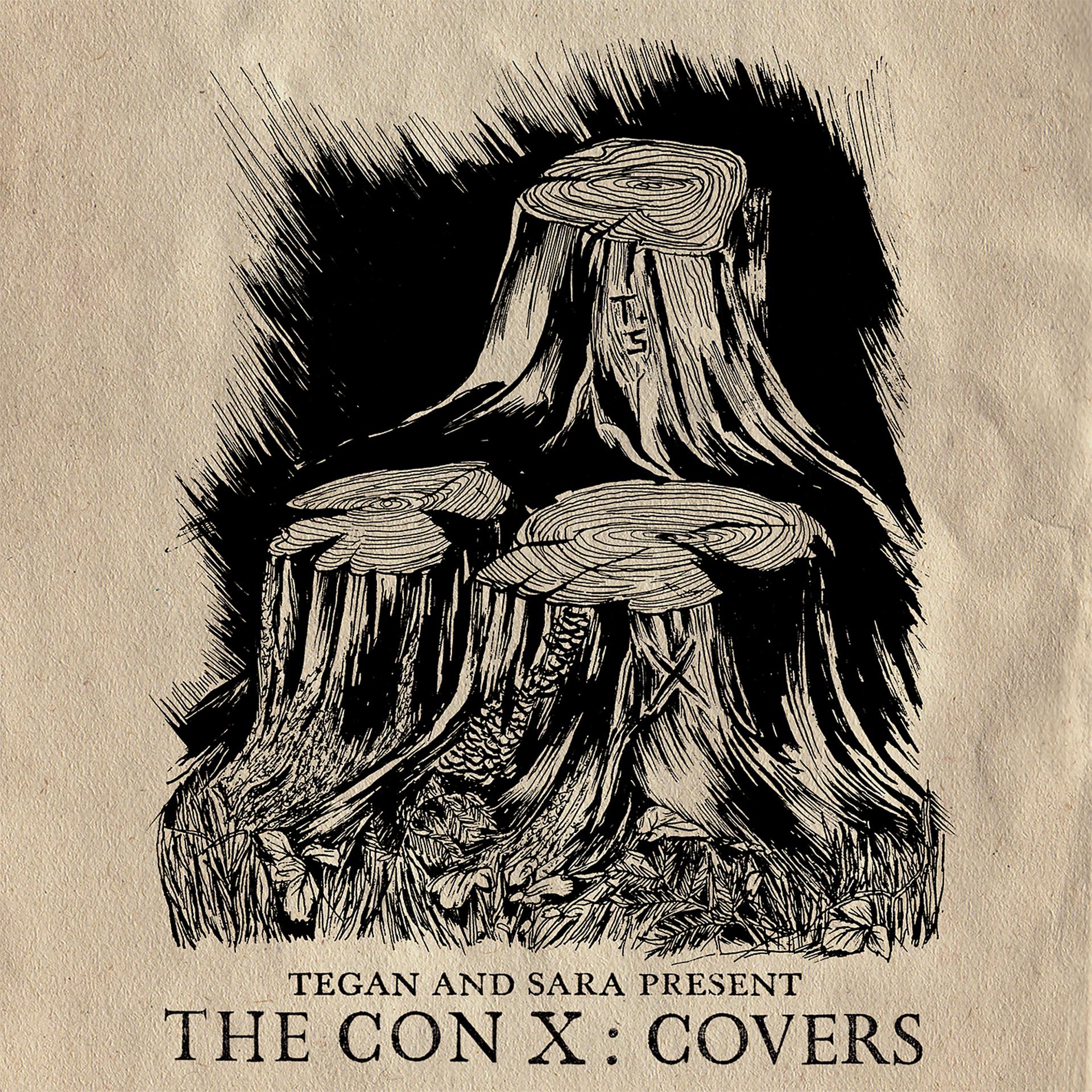 Постер альбома Tegan And Sara Present The Con X: Covers