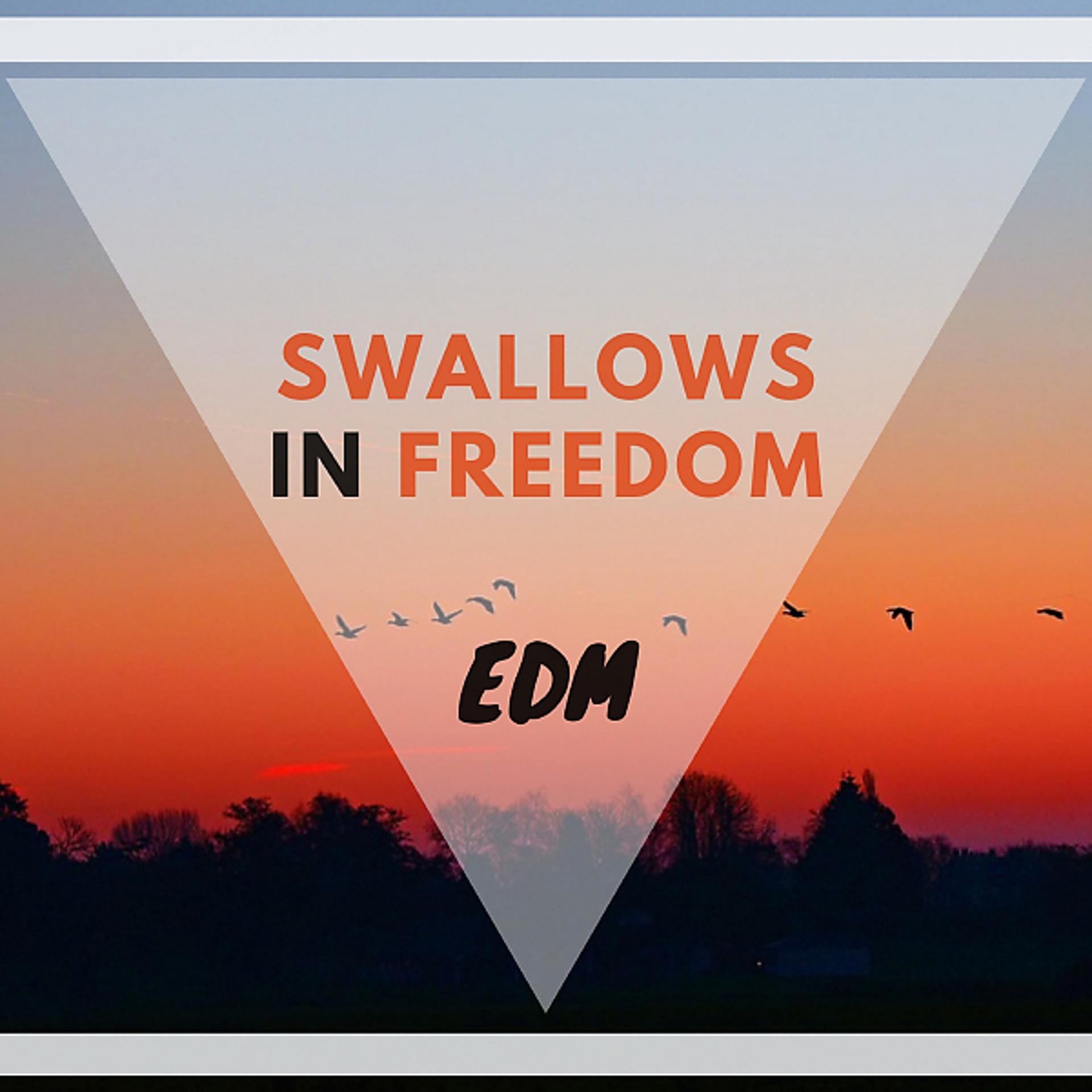 Постер альбома SWALLOWS IN FREEDOM EDM