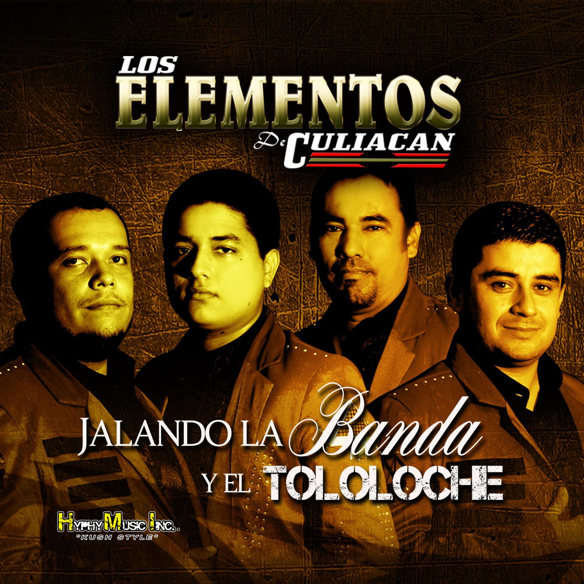 Постер альбома Jalando la Banda y el Tololoche