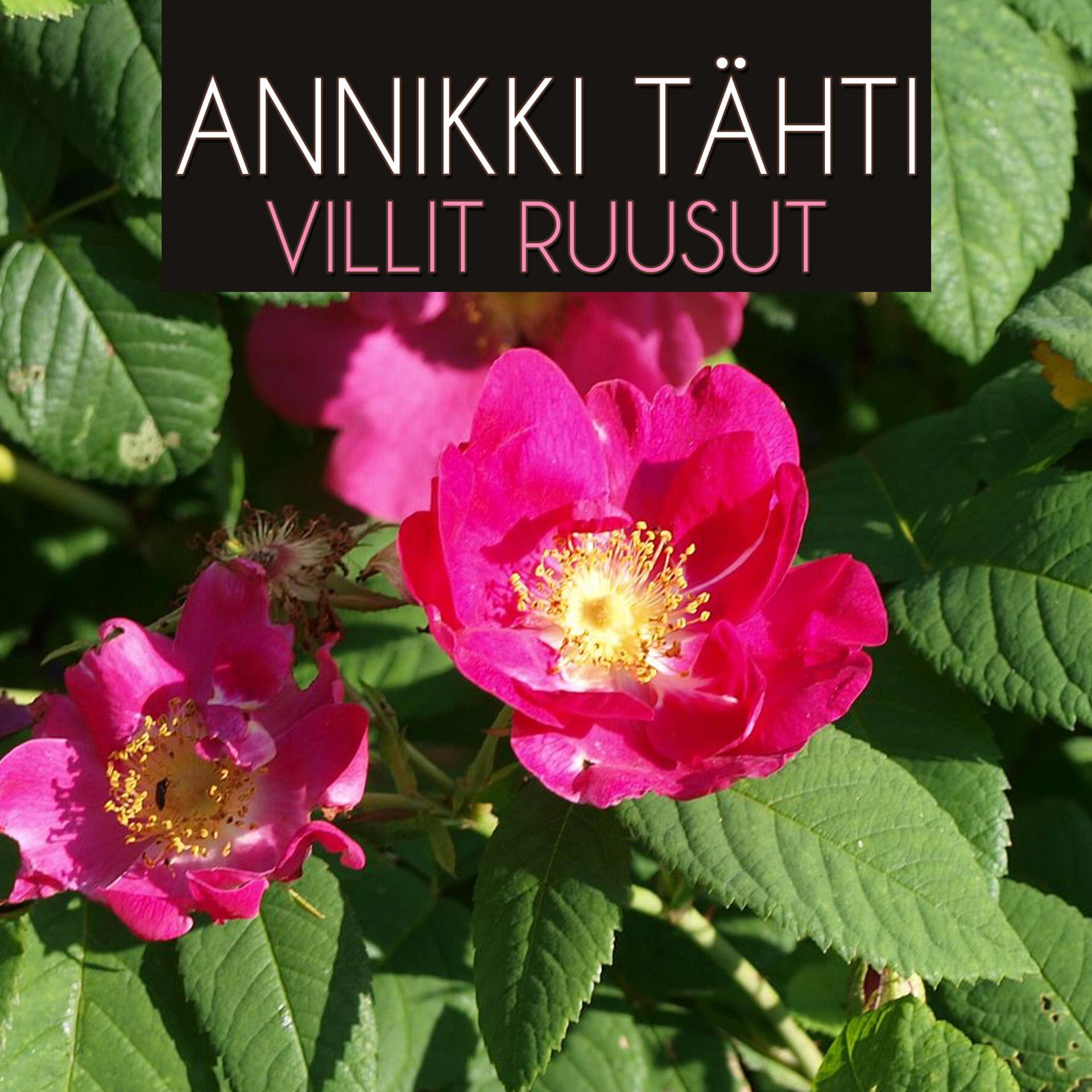 Постер альбома Villit Ruusut
