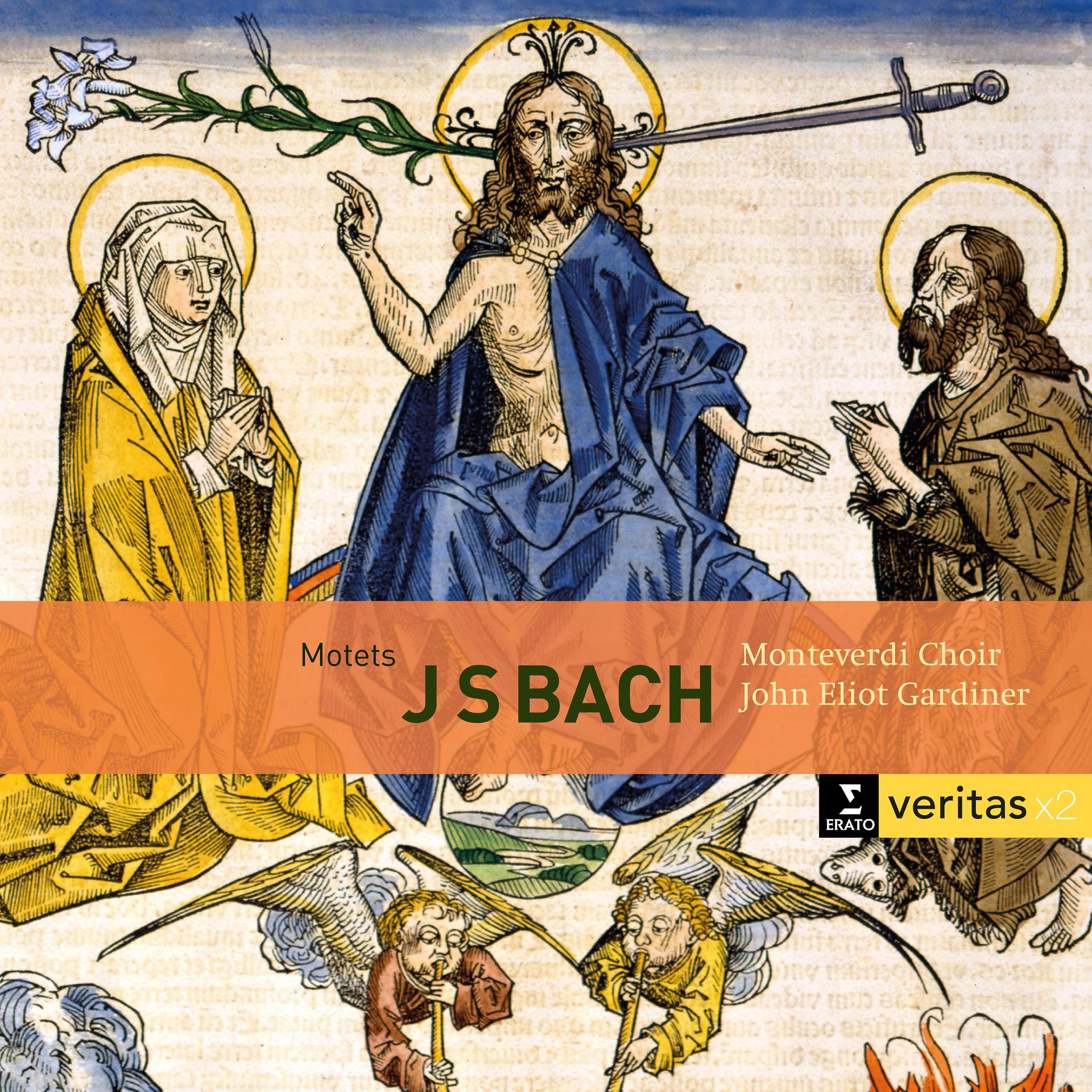 Постер альбома Bach: Motets BWV 225-231, Cantatas BWV 50 & 118