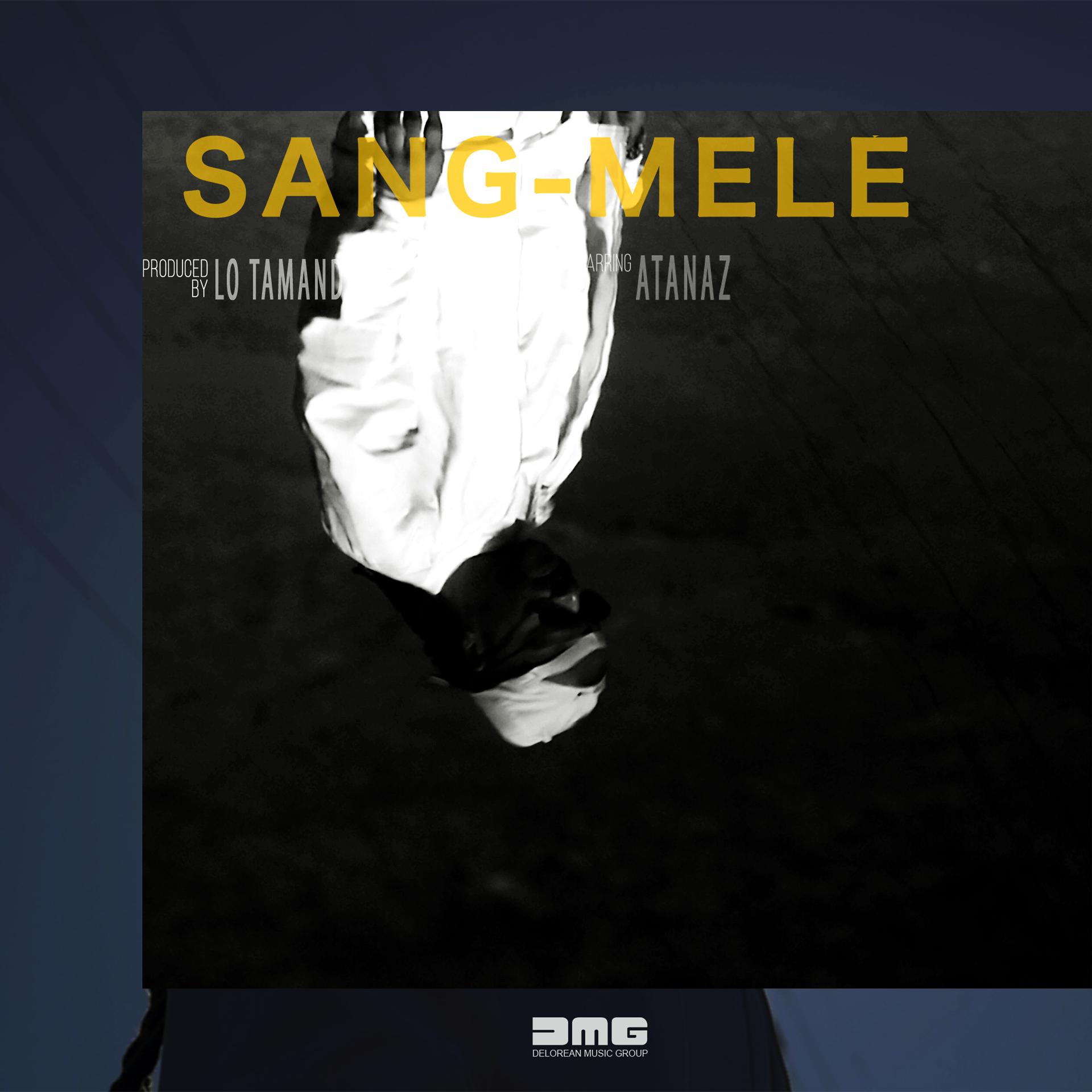 Постер альбома Sang mêlé