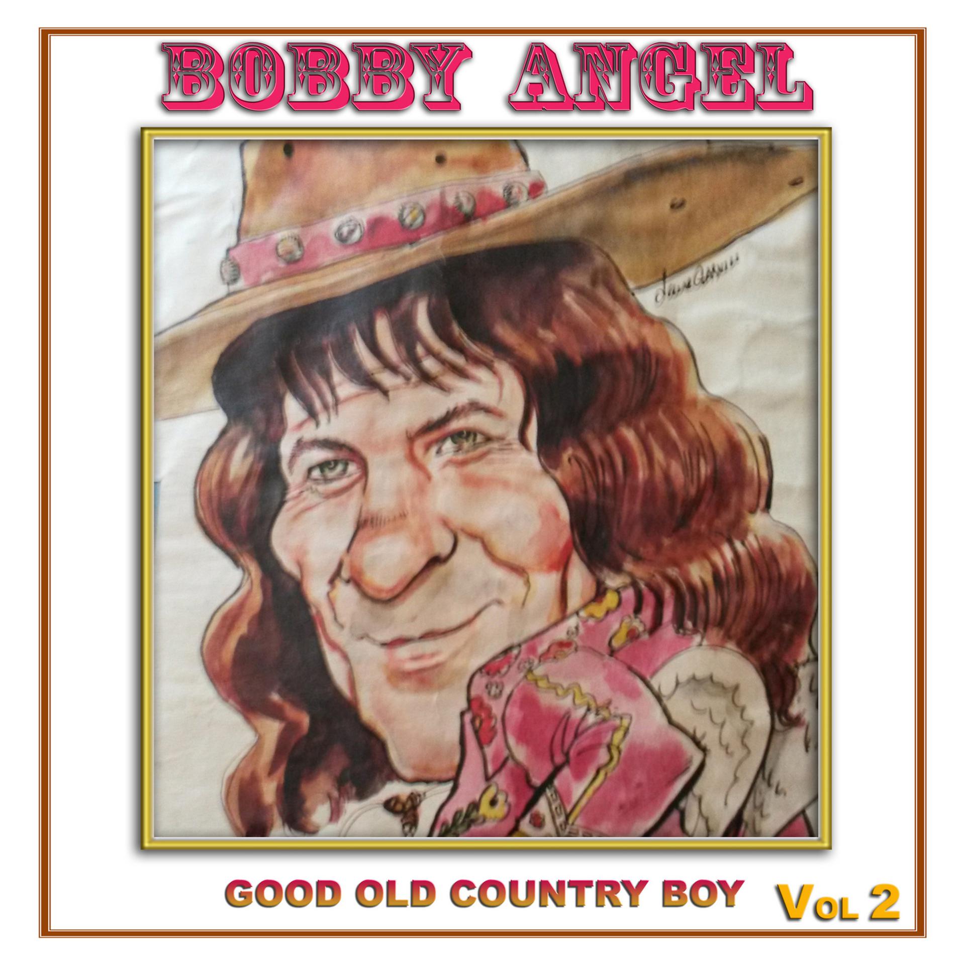 Постер альбома Good Old Country Boy, Vol. 2