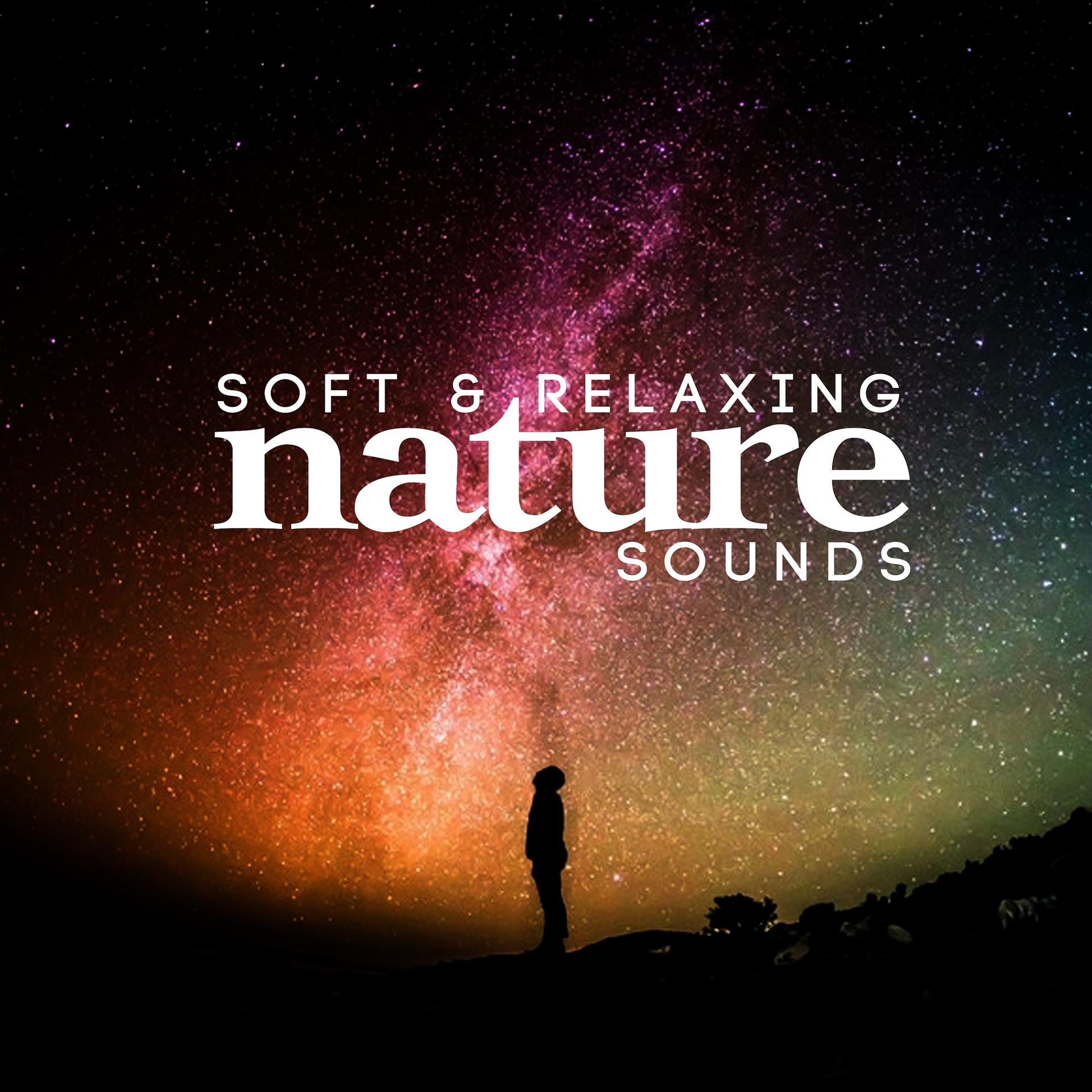 Постер альбома Soft & Relaxing Nature Sounds