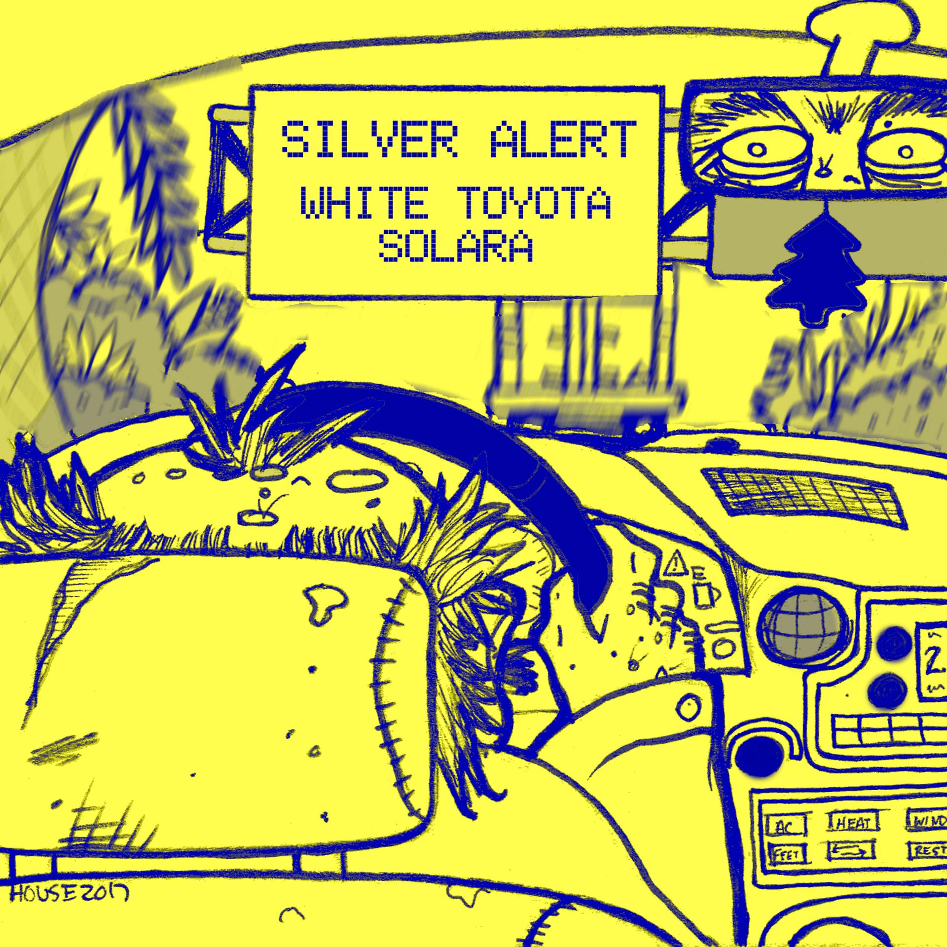 Постер альбома White Toyota Solara