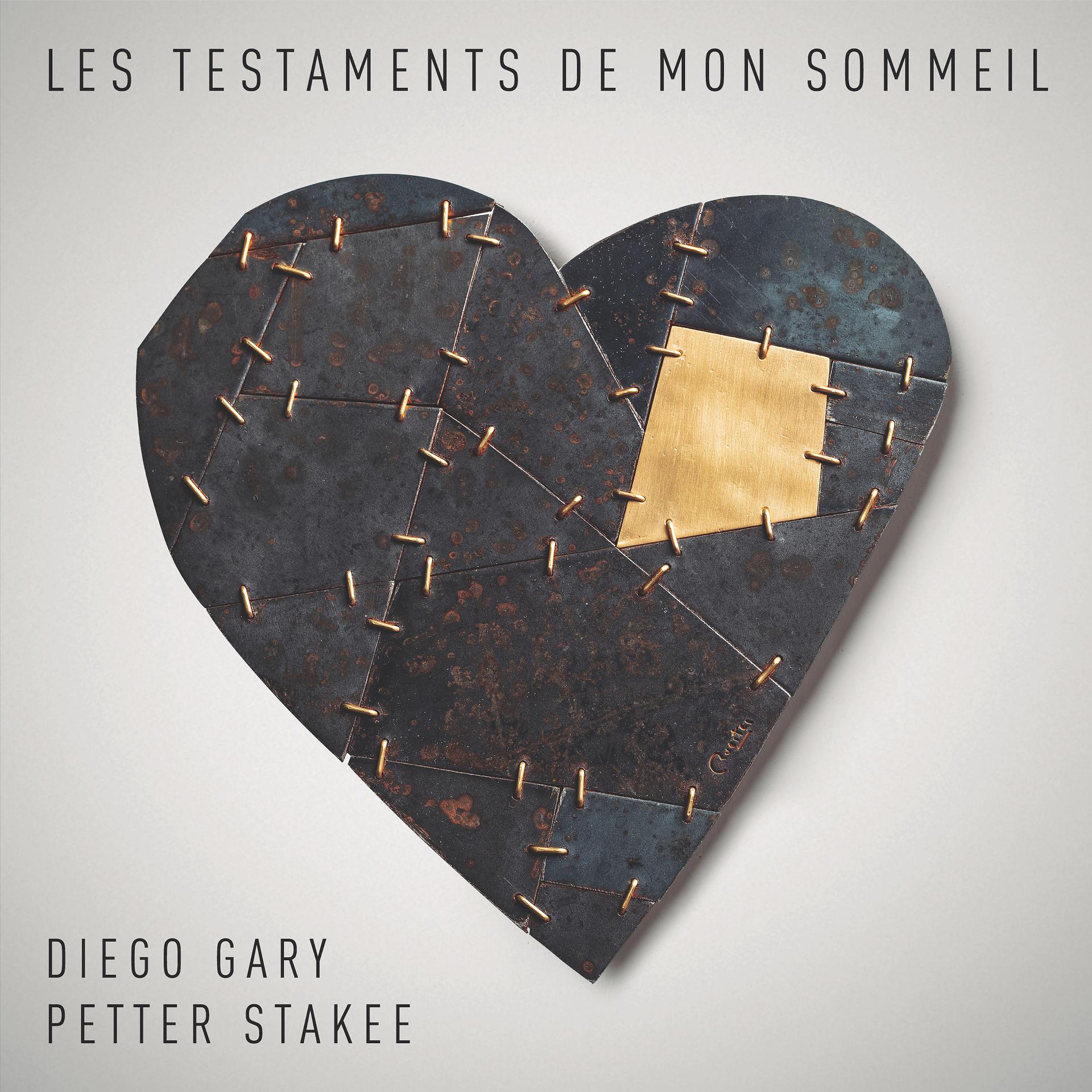 Постер альбома Les Testaments De Mon Sommeil