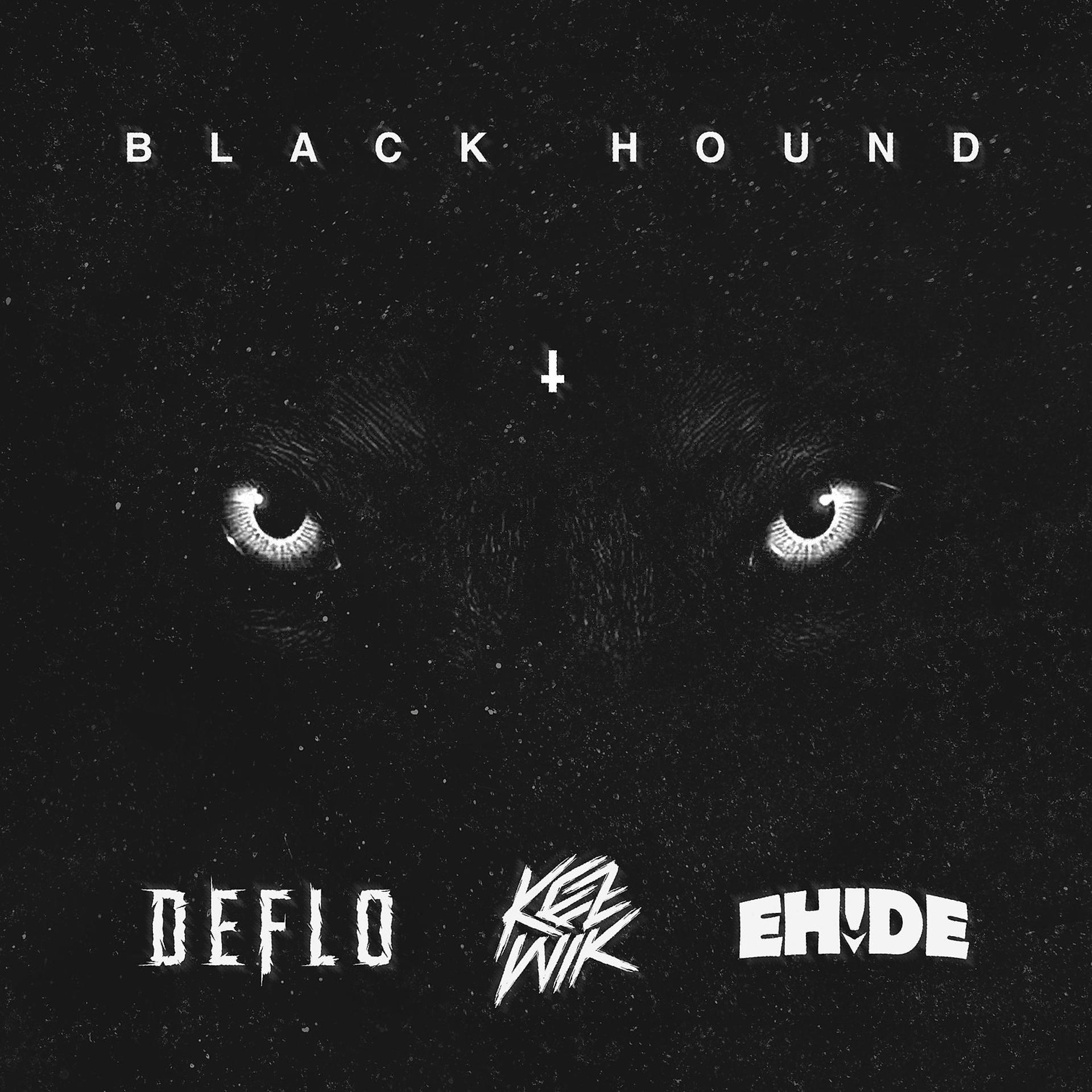 Постер альбома Black Hound