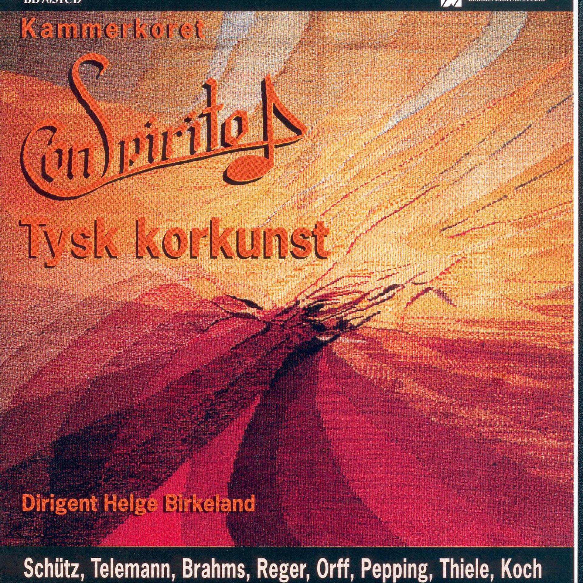 Постер альбома Tysk Korkunst