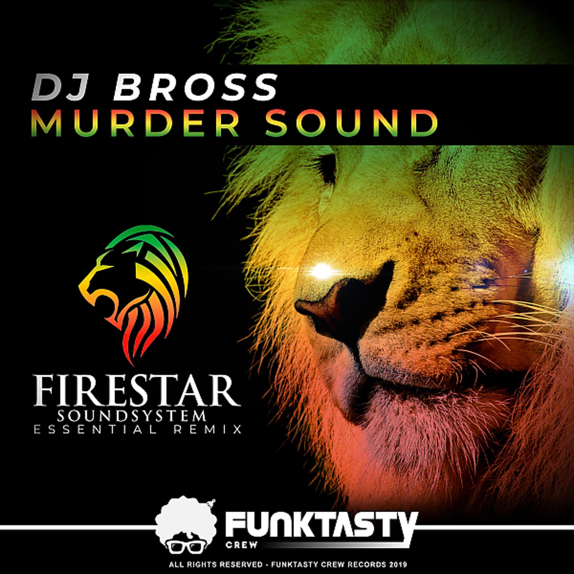 Постер альбома Murder Sound [Firestar Soundsystem Remix]