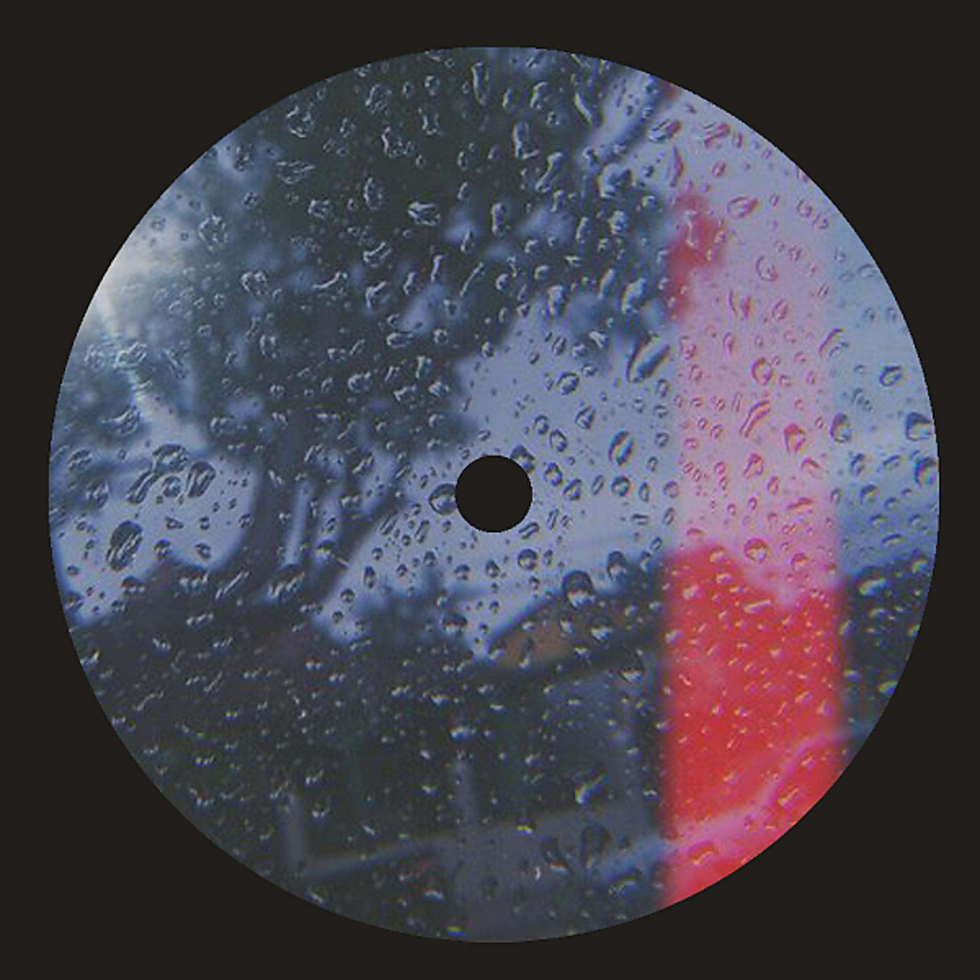 Постер альбома Neon in the Fog (Metarêve Remix)
