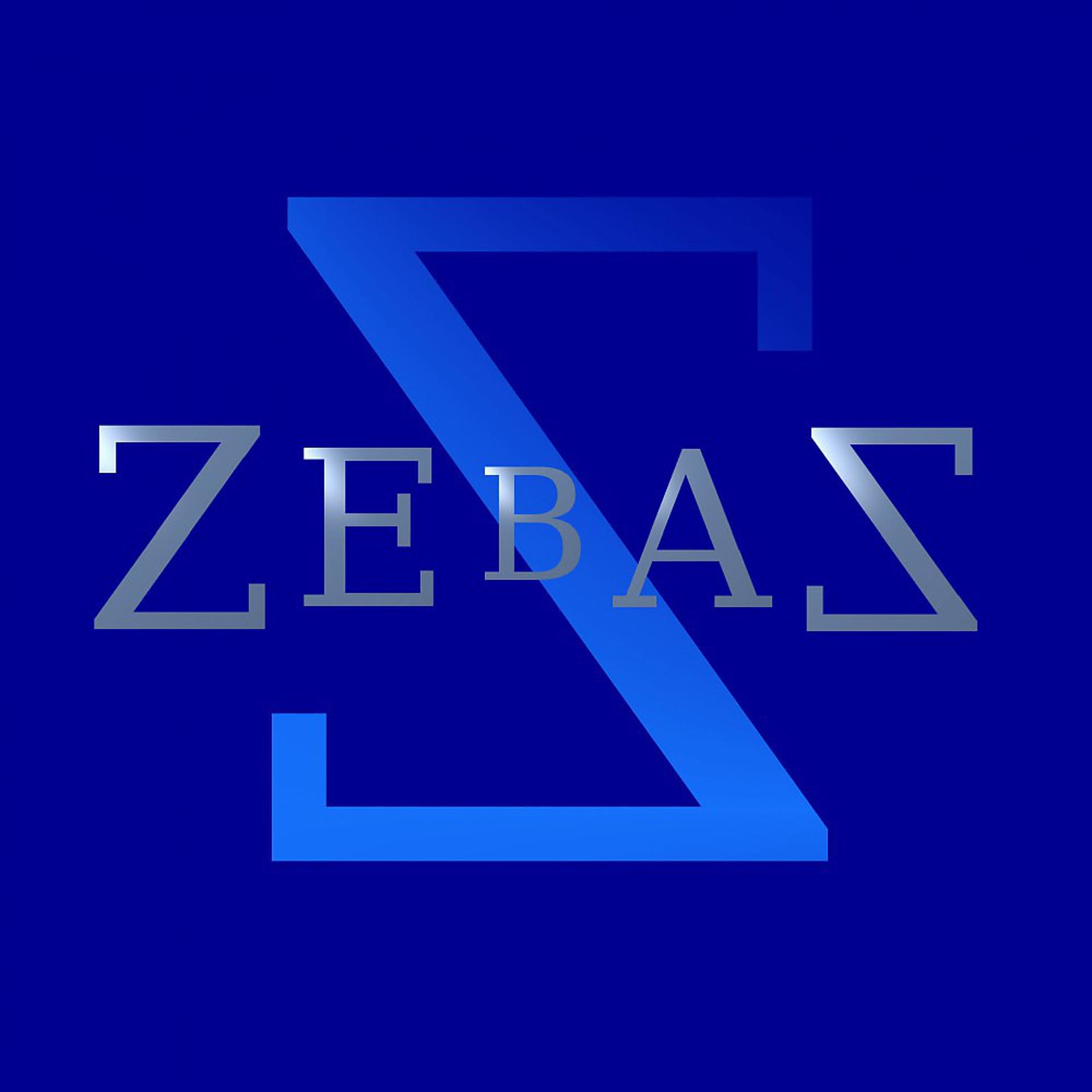 Постер альбома Zebaz (Original Mix)