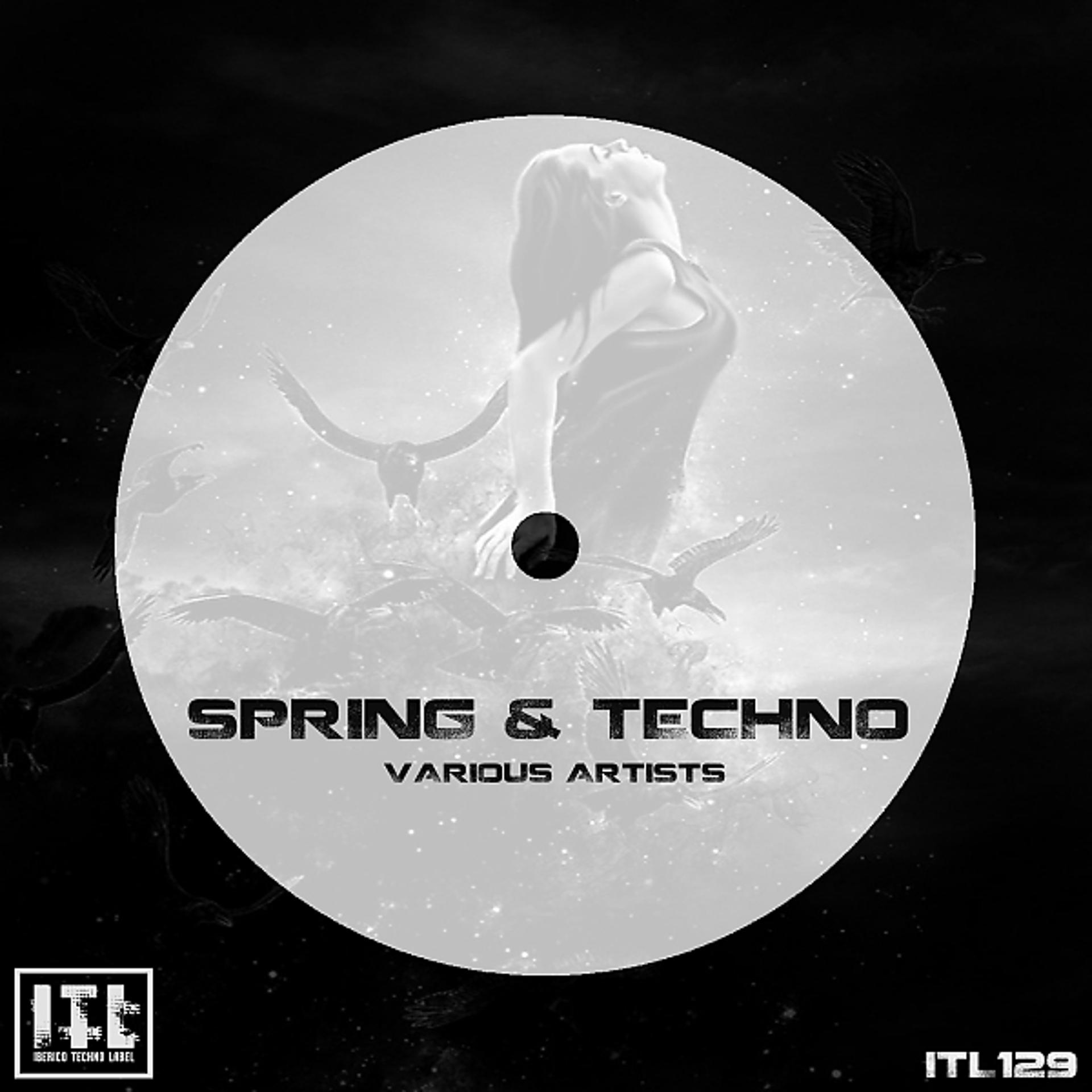 Постер альбома Spring & Techno