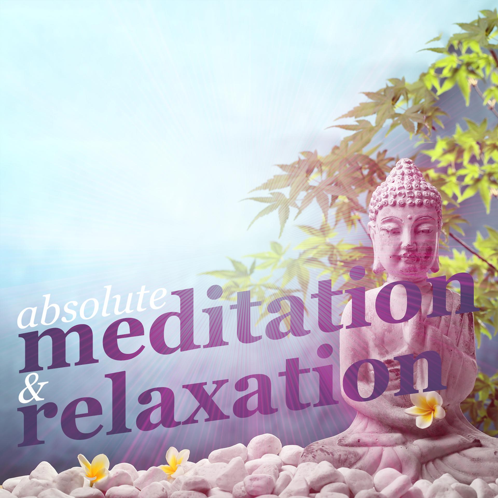 Постер альбома Absolute Relaxation & Meditation
