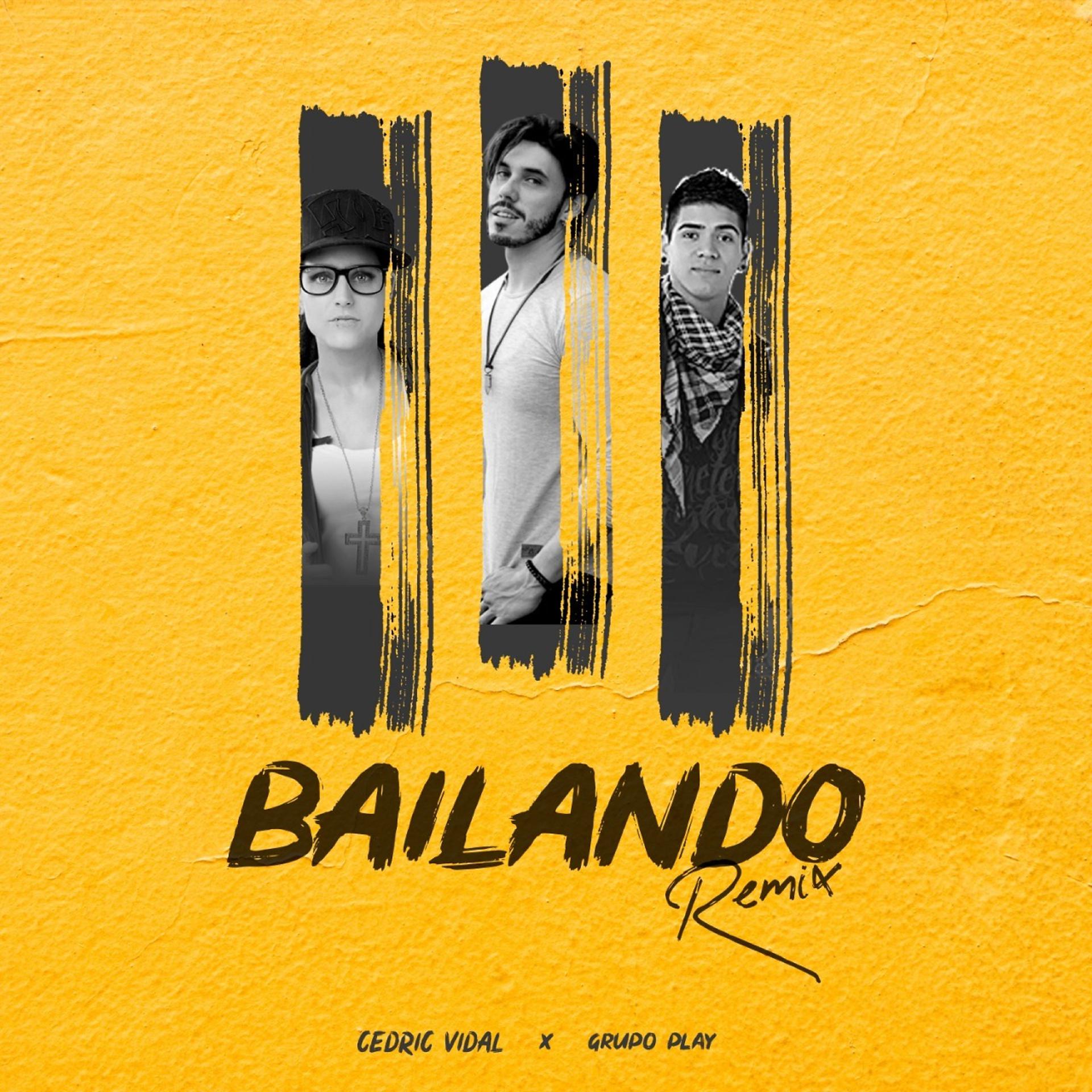 Постер альбома Bailando (Remix)