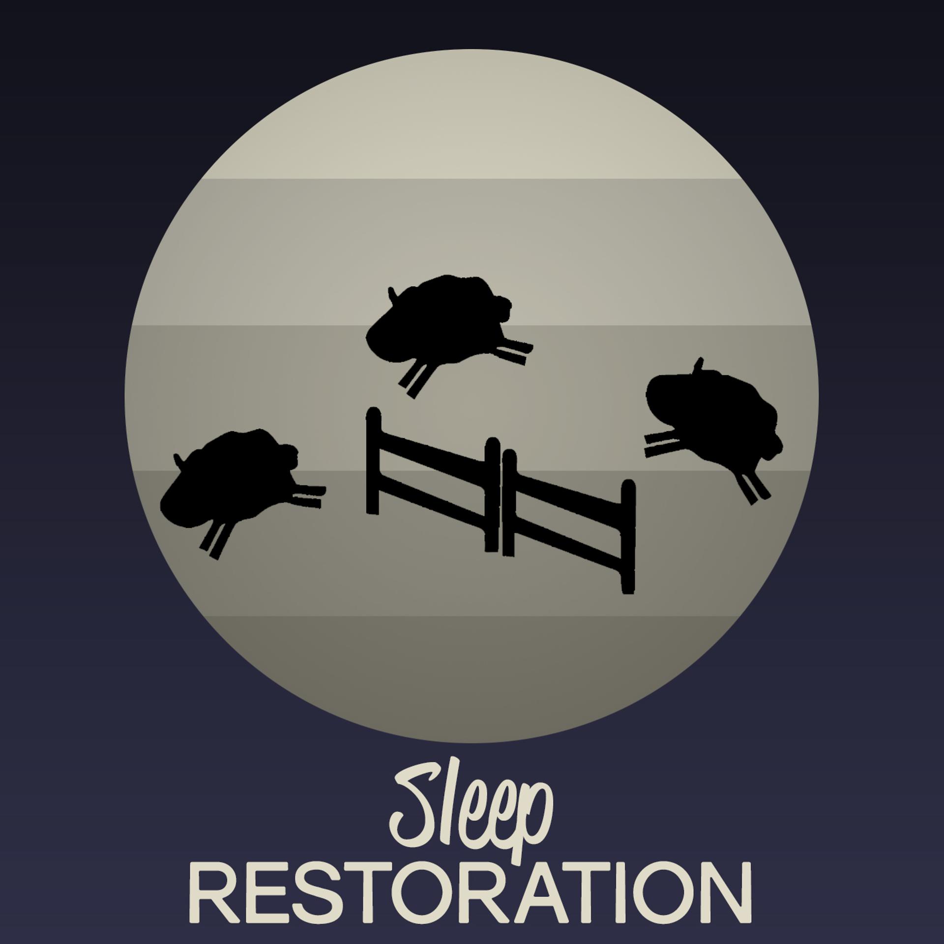 Постер альбома Sleep Restoration