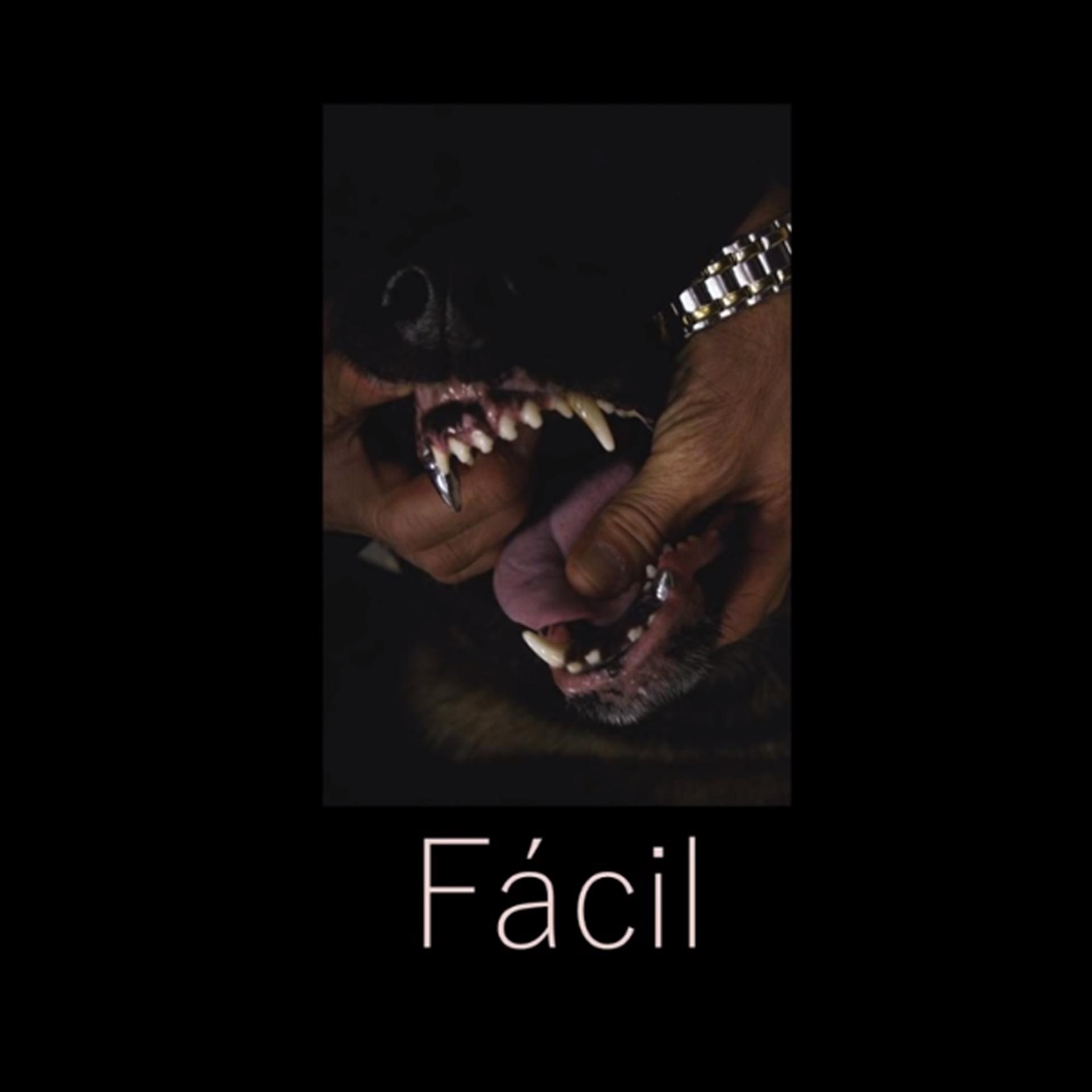 Постер альбома Fácil