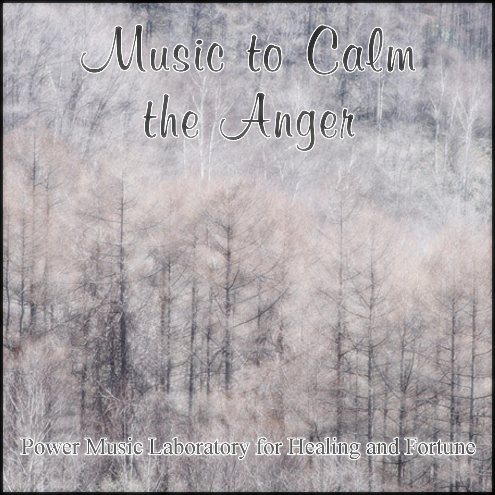 Постер альбома Music to Calm the Anger