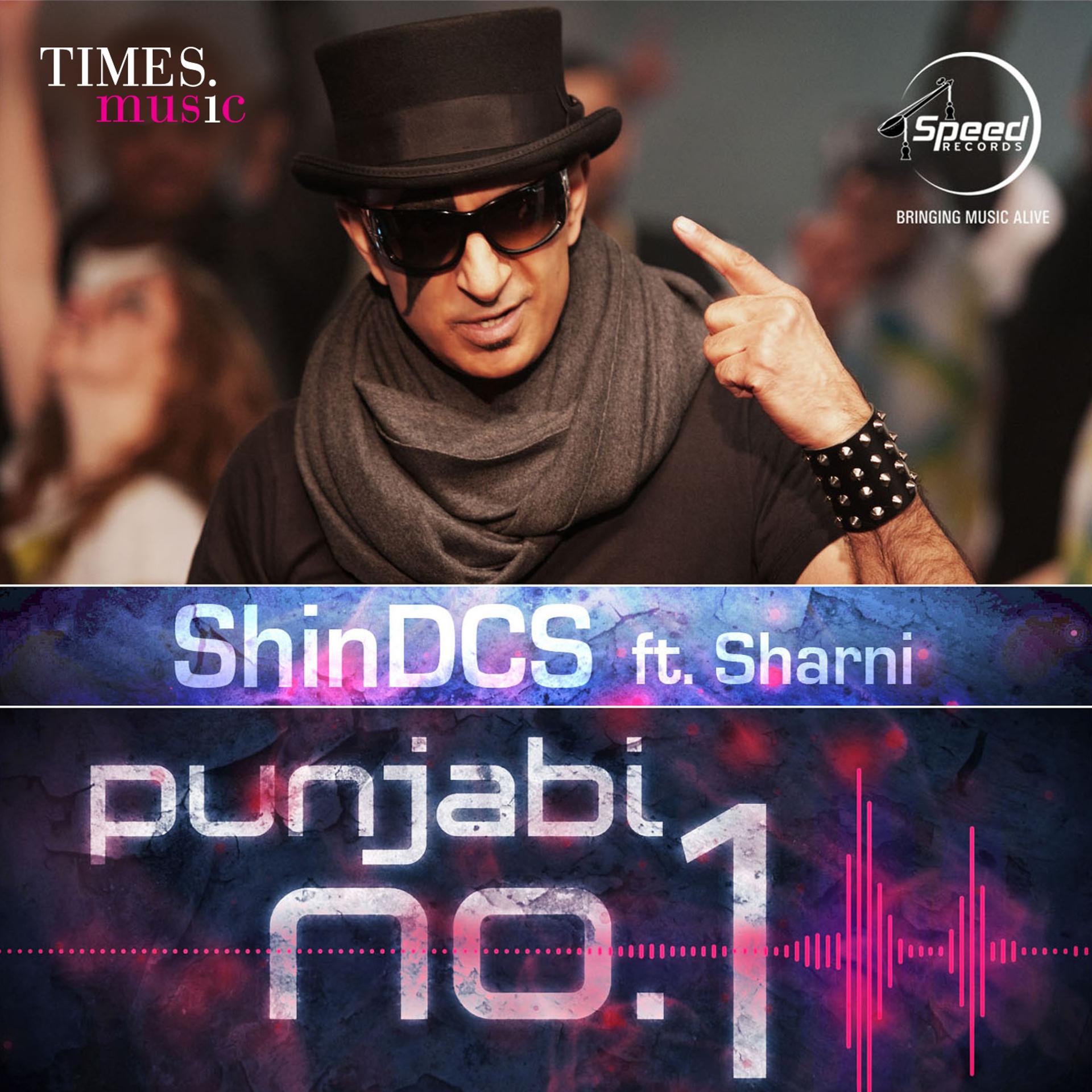 Постер альбома Punjabi No. 1 - Single