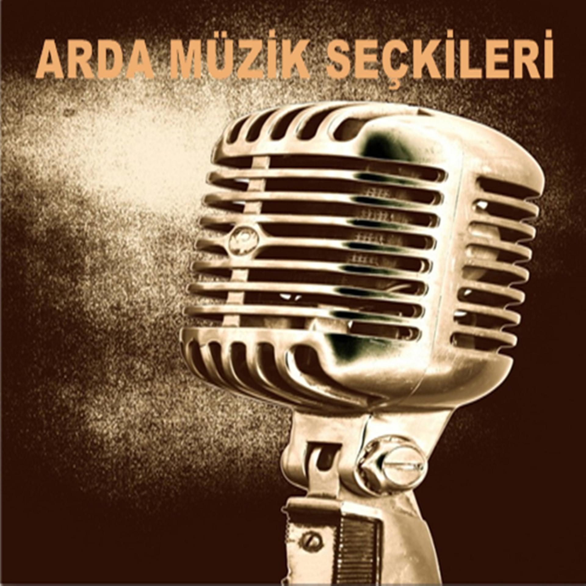 Постер альбома Arda Müzik Seçkileri