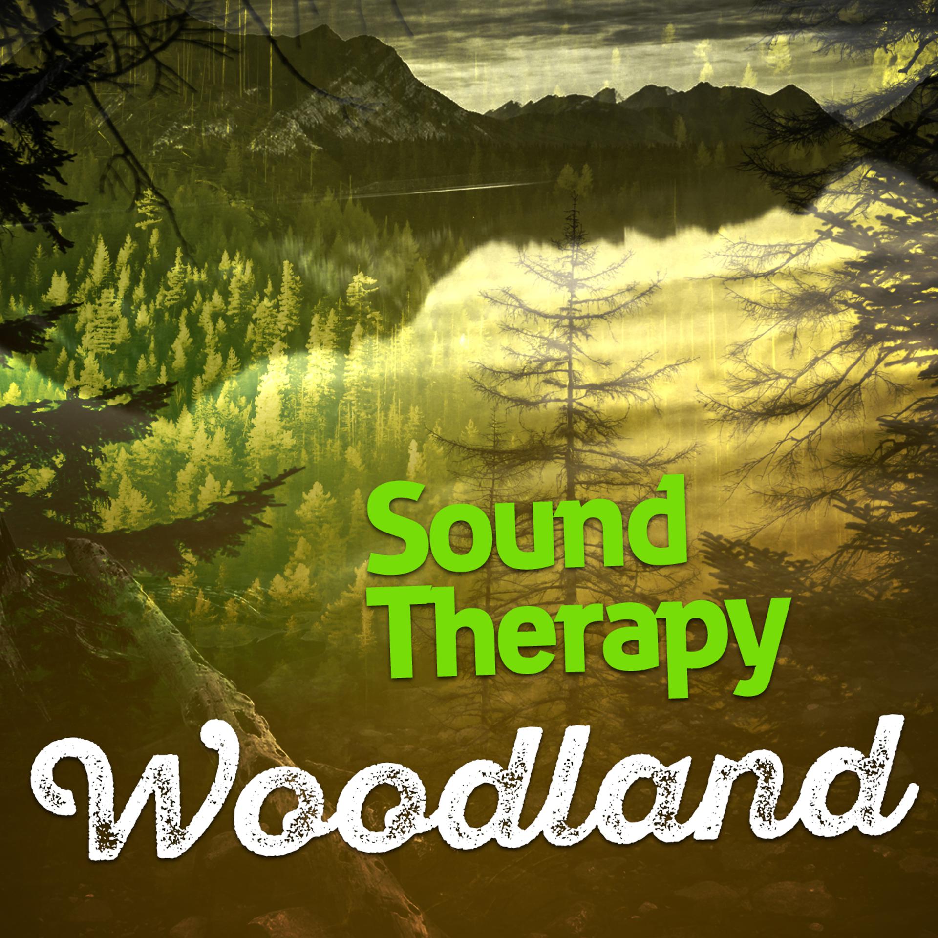Постер альбома Sound Therapy: Woodland