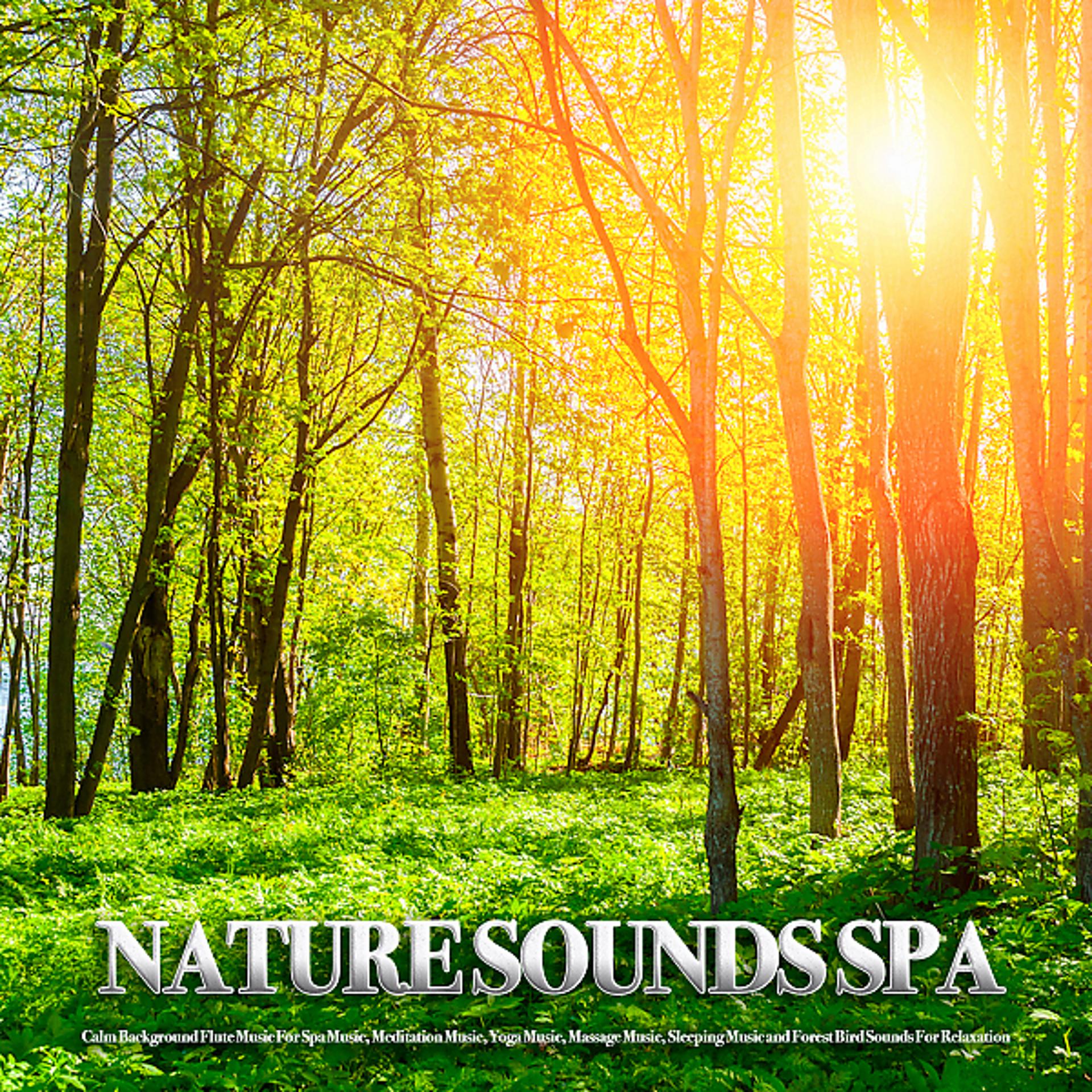 Постер альбома Nature Sounds Spa: Calm Background Flute Music For Spa Music, Meditation Music, Yoga Music, Massage Music, Sleeping Music and Forest Bird Sounds For Relaxation