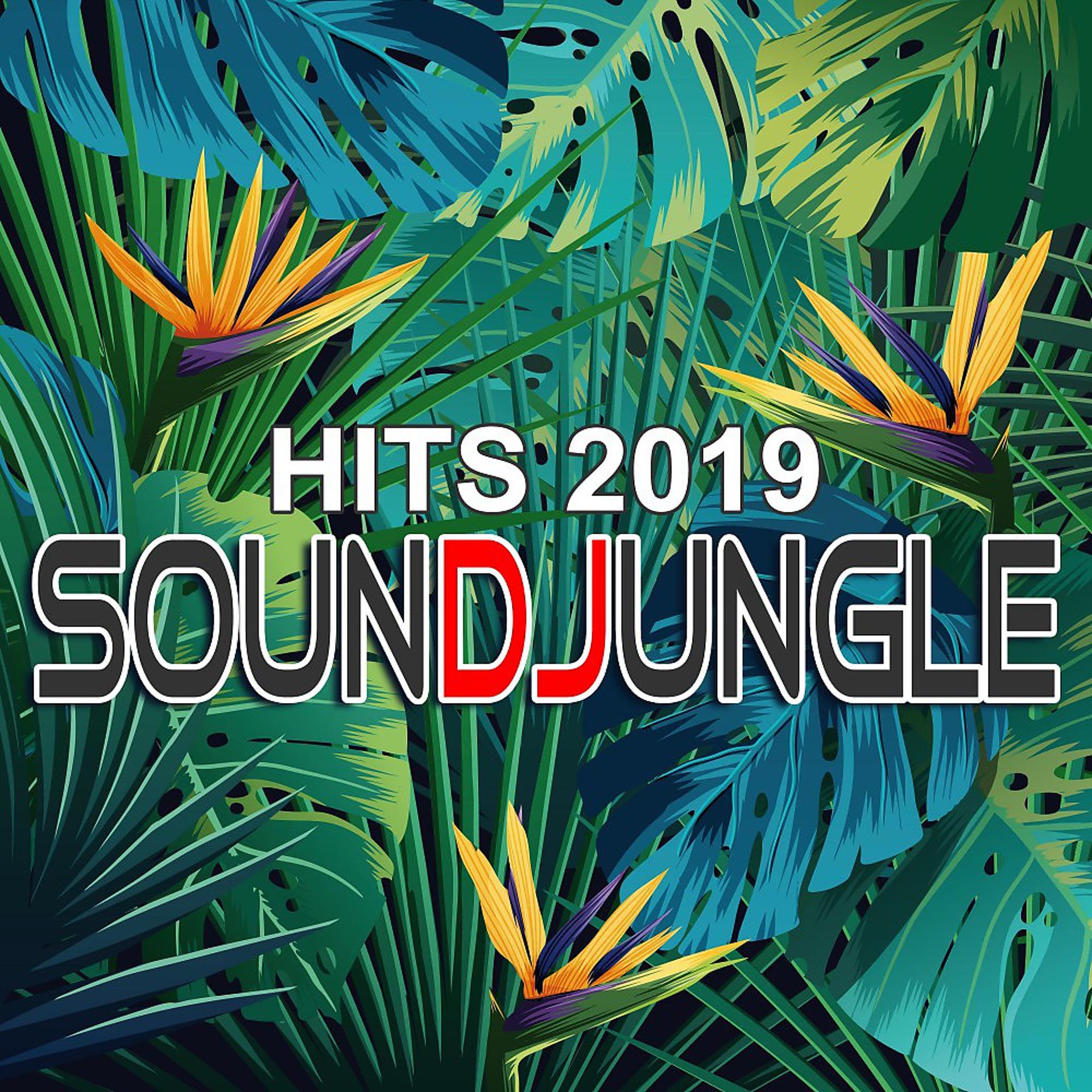 Постер альбома Soundjungle Hits 2019