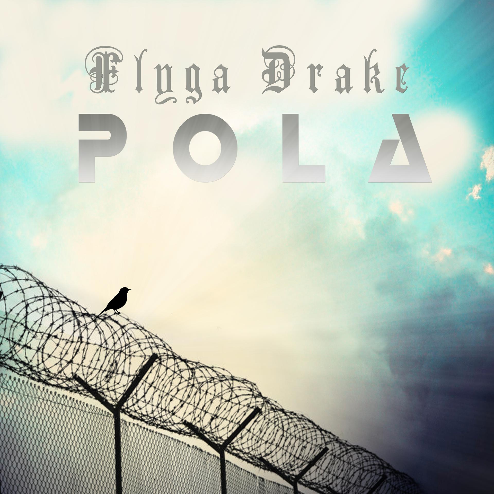 Постер альбома Flyga drake