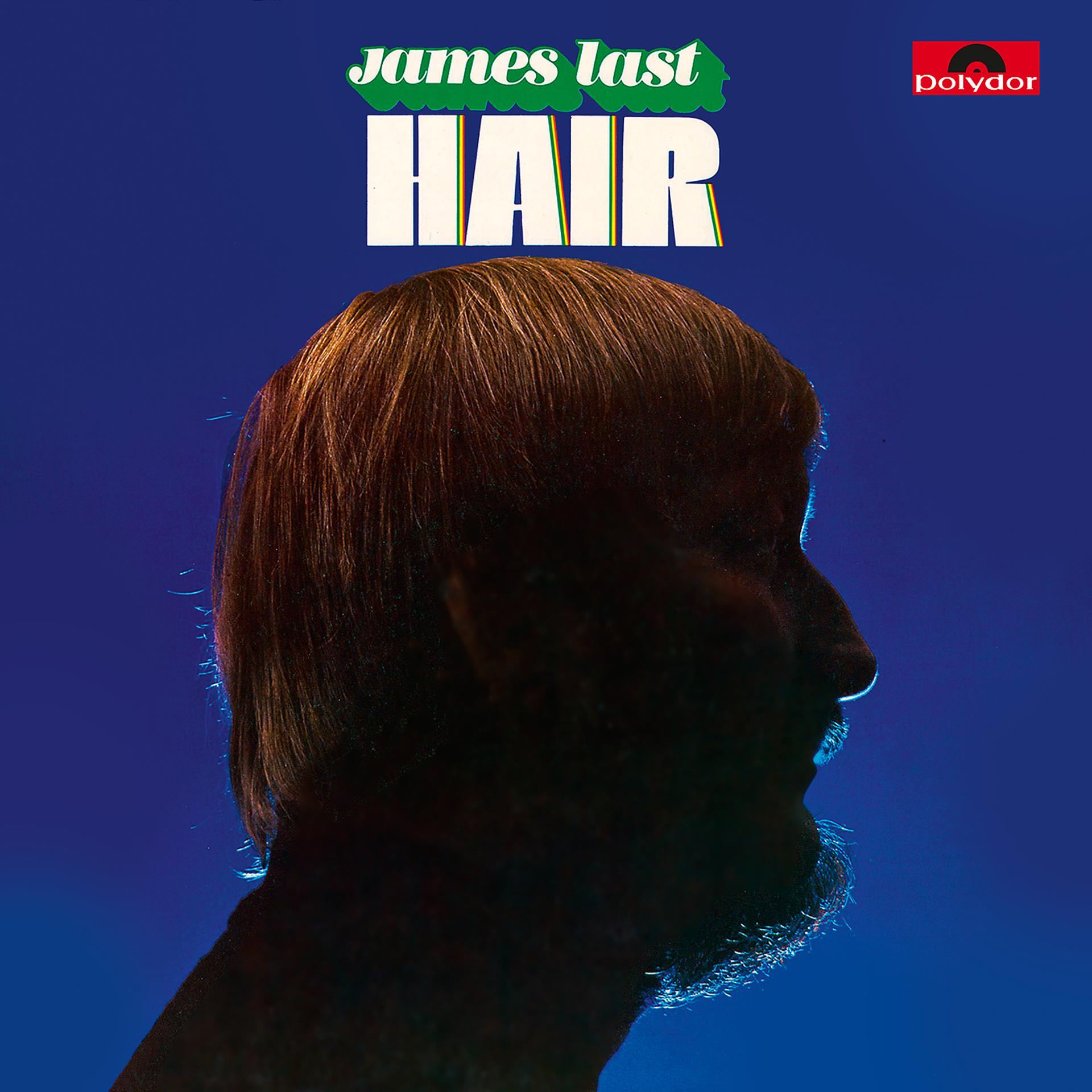 Постер альбома Hair