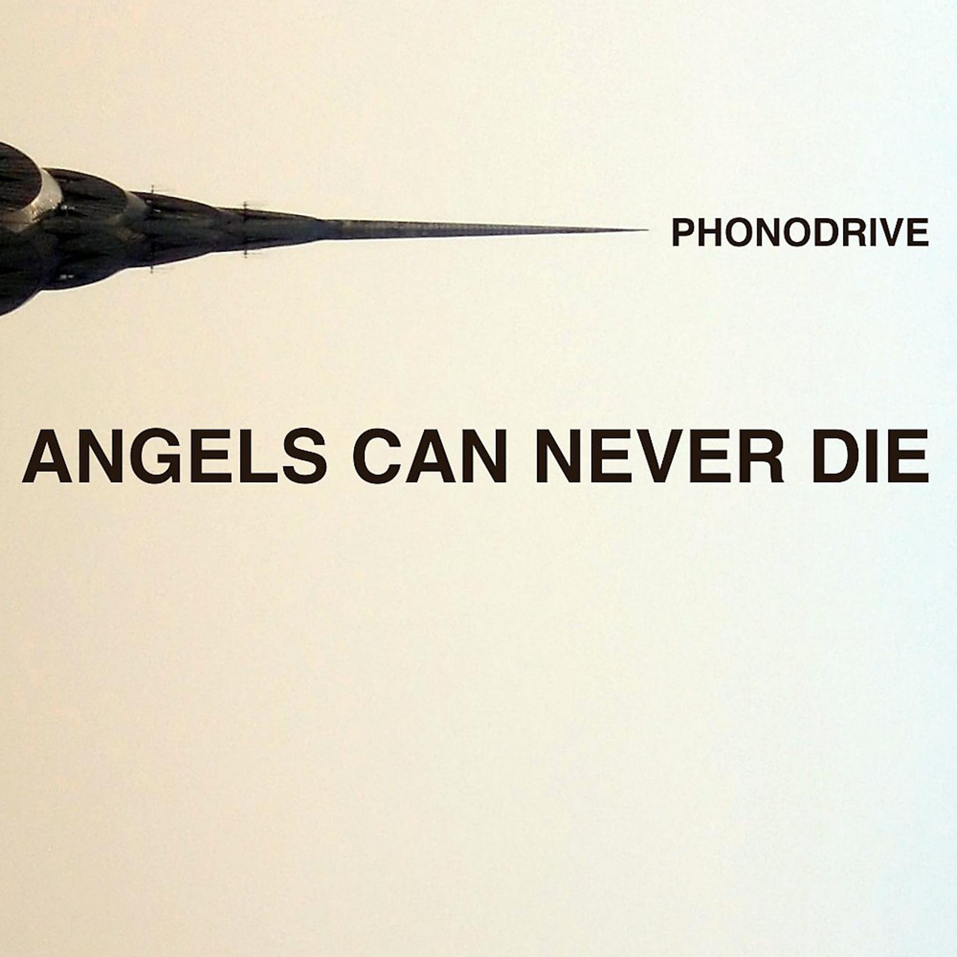Постер альбома Angels Can Never Die