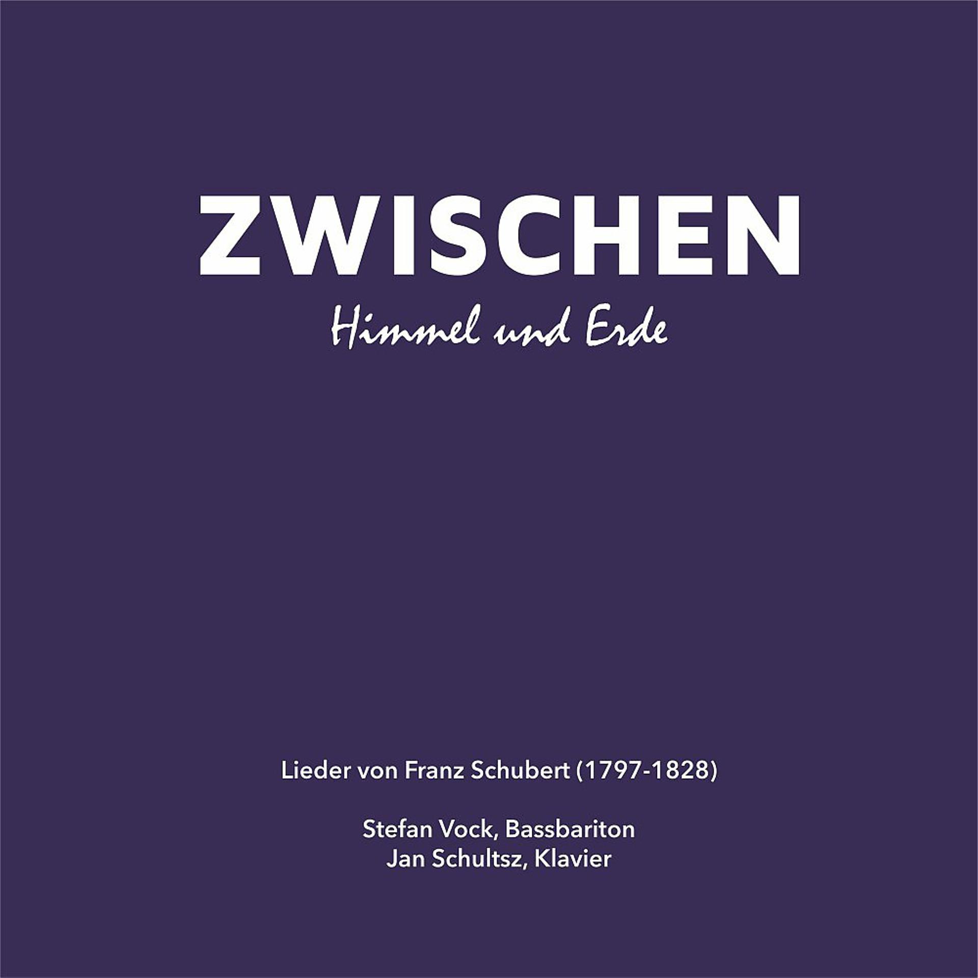 Постер альбома Zwischen Himmel und Erde