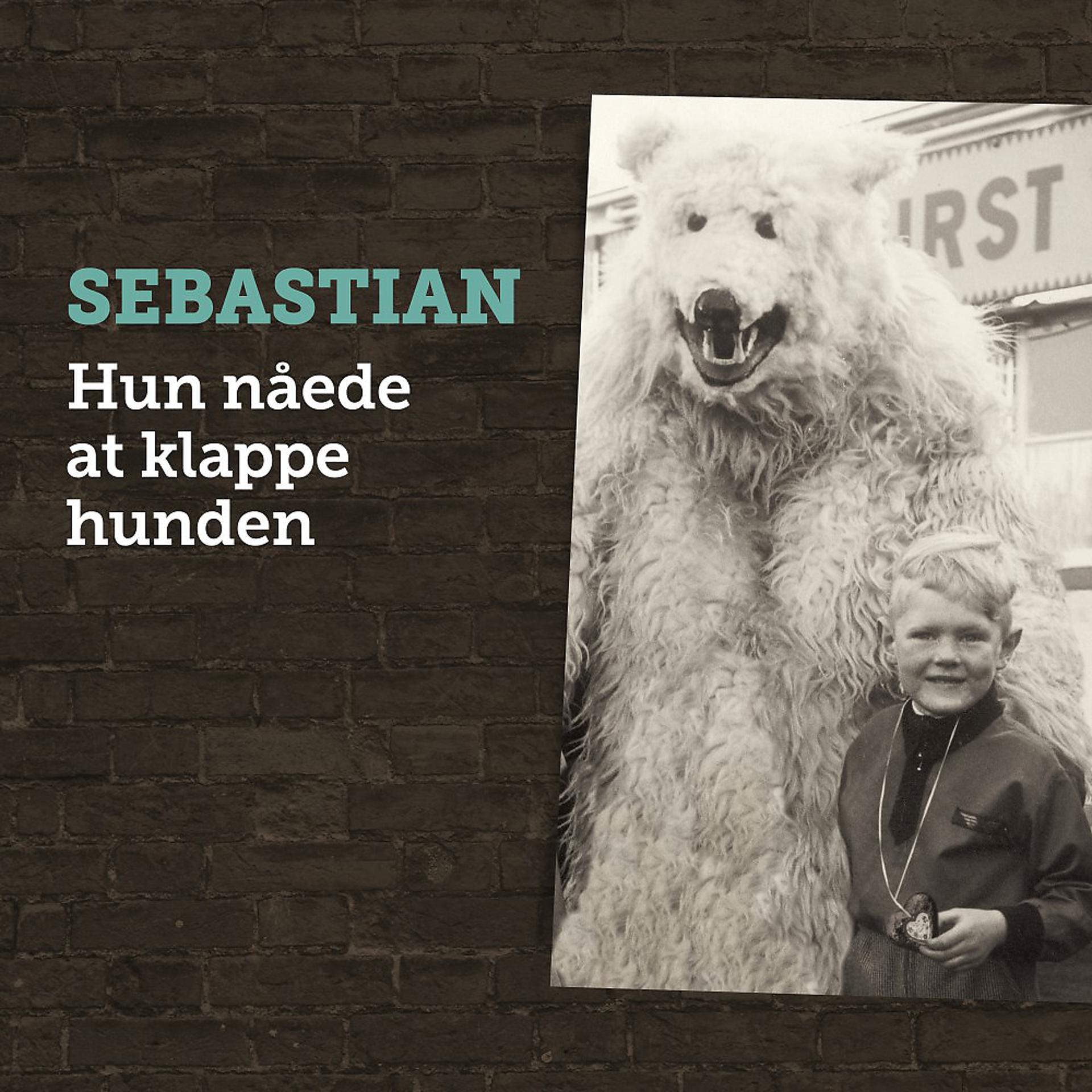 Постер альбома Hun Nåede at Klappe Hunden