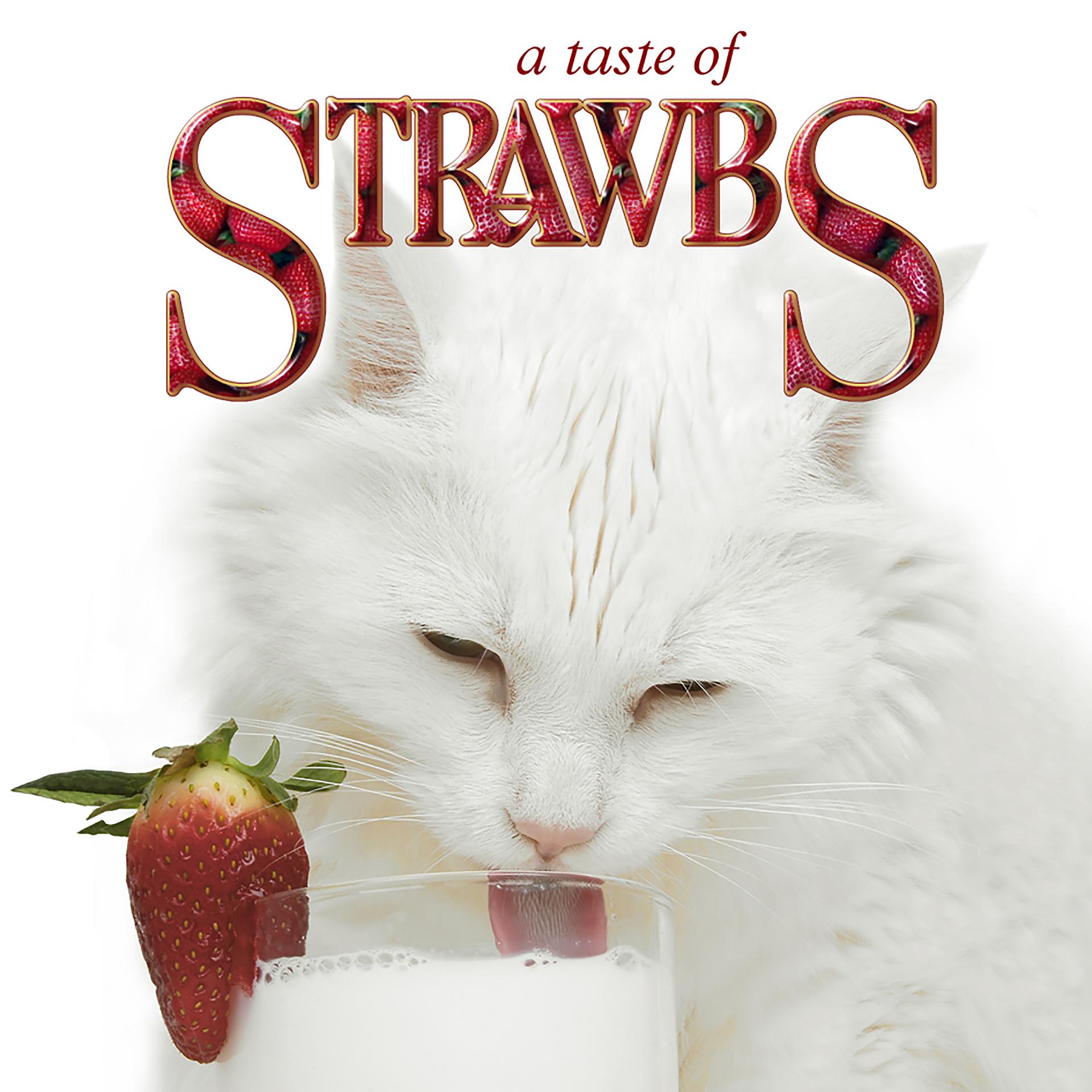 Постер альбома A Taste of Strawbs