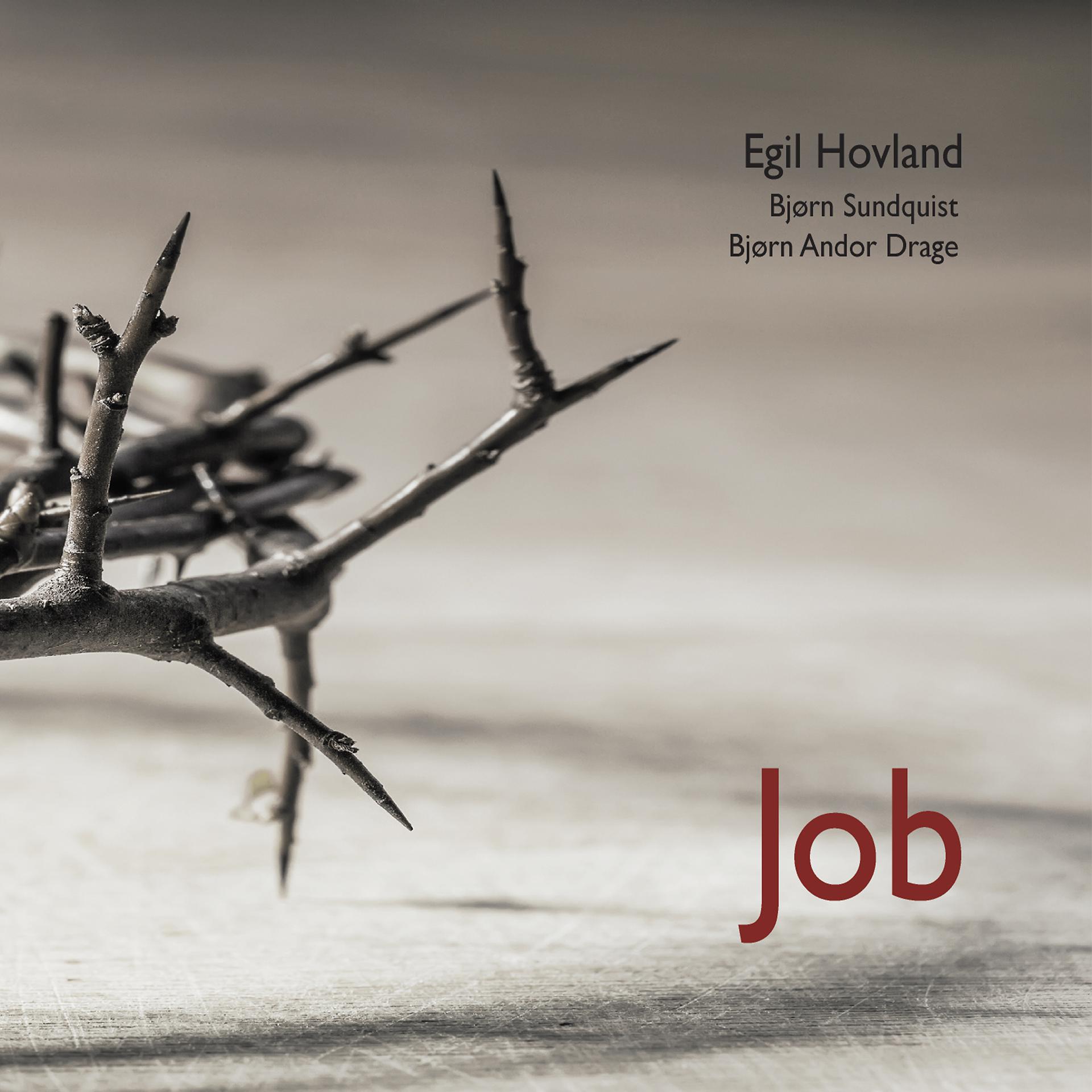 Постер альбома Hovland: Job