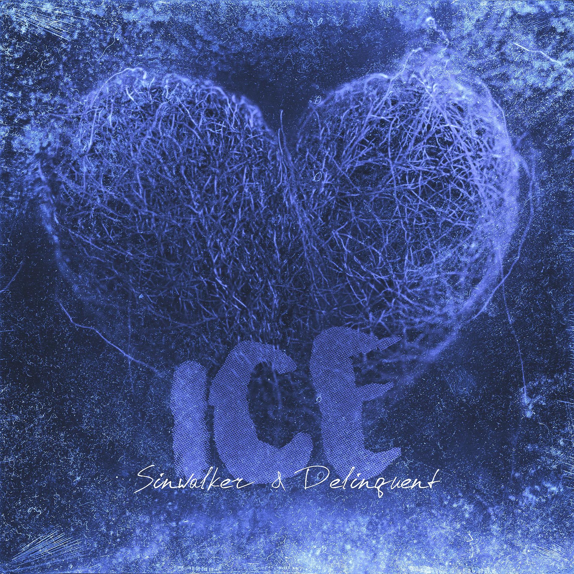 Постер альбома Ice
