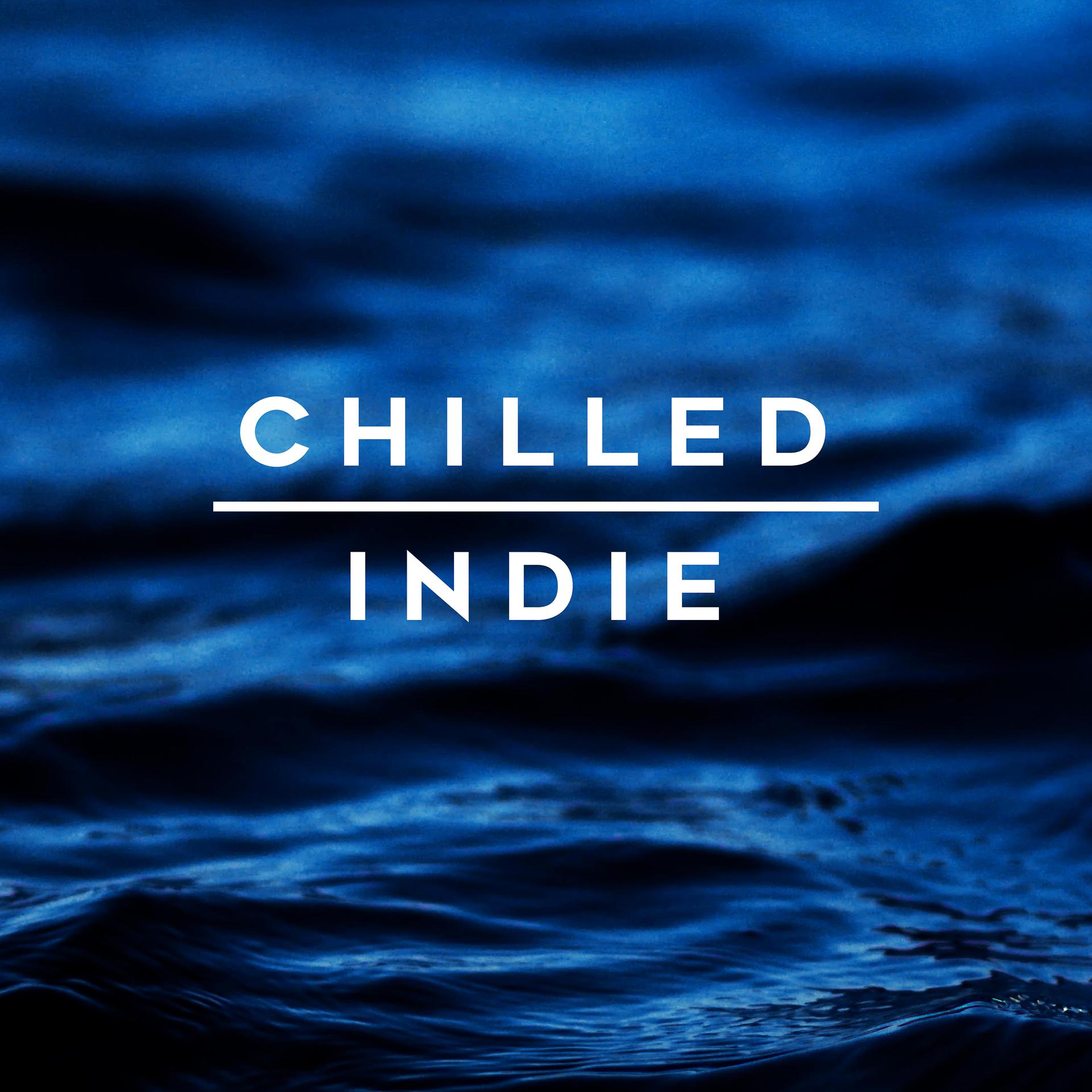 Постер альбома Chilled Indie