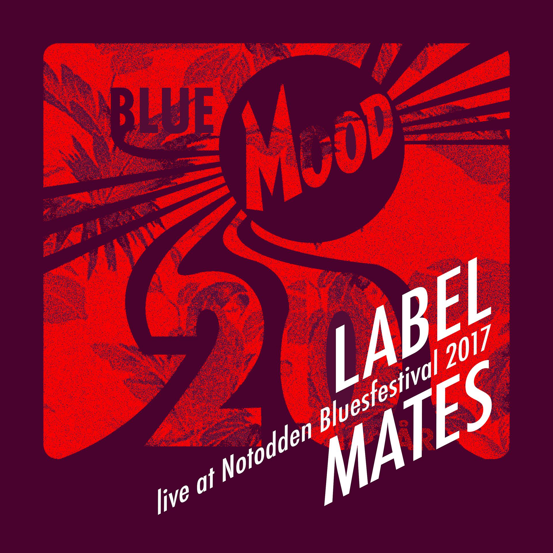 Постер альбома Blue Mood Label Mates - Live at Notodden Blues Festival 2017