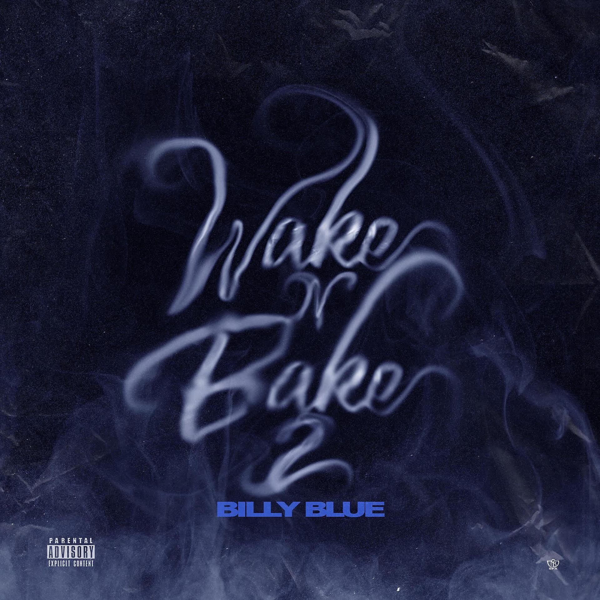 Постер альбома Wake N Bake 2