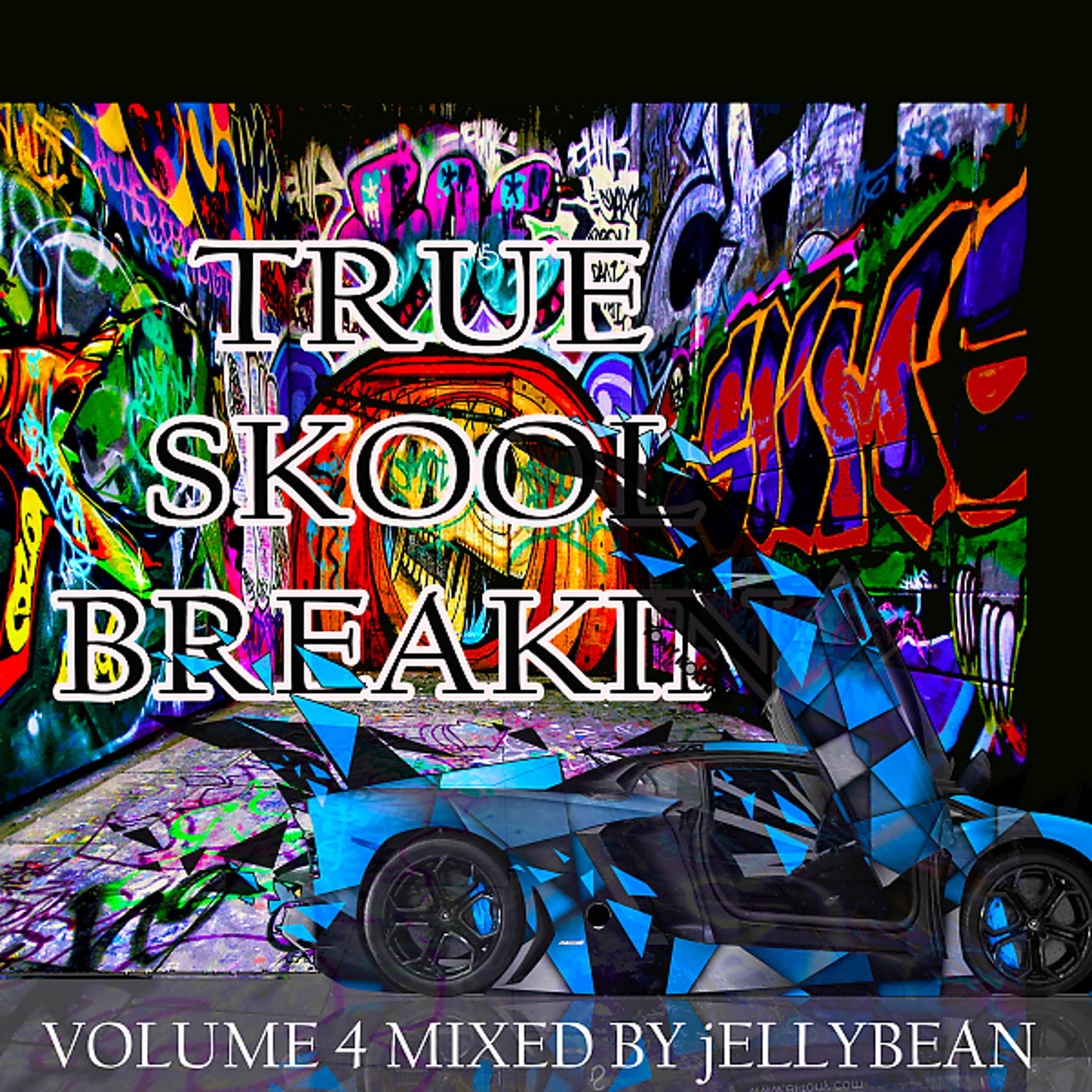 Постер альбома True Skool Breakin 4