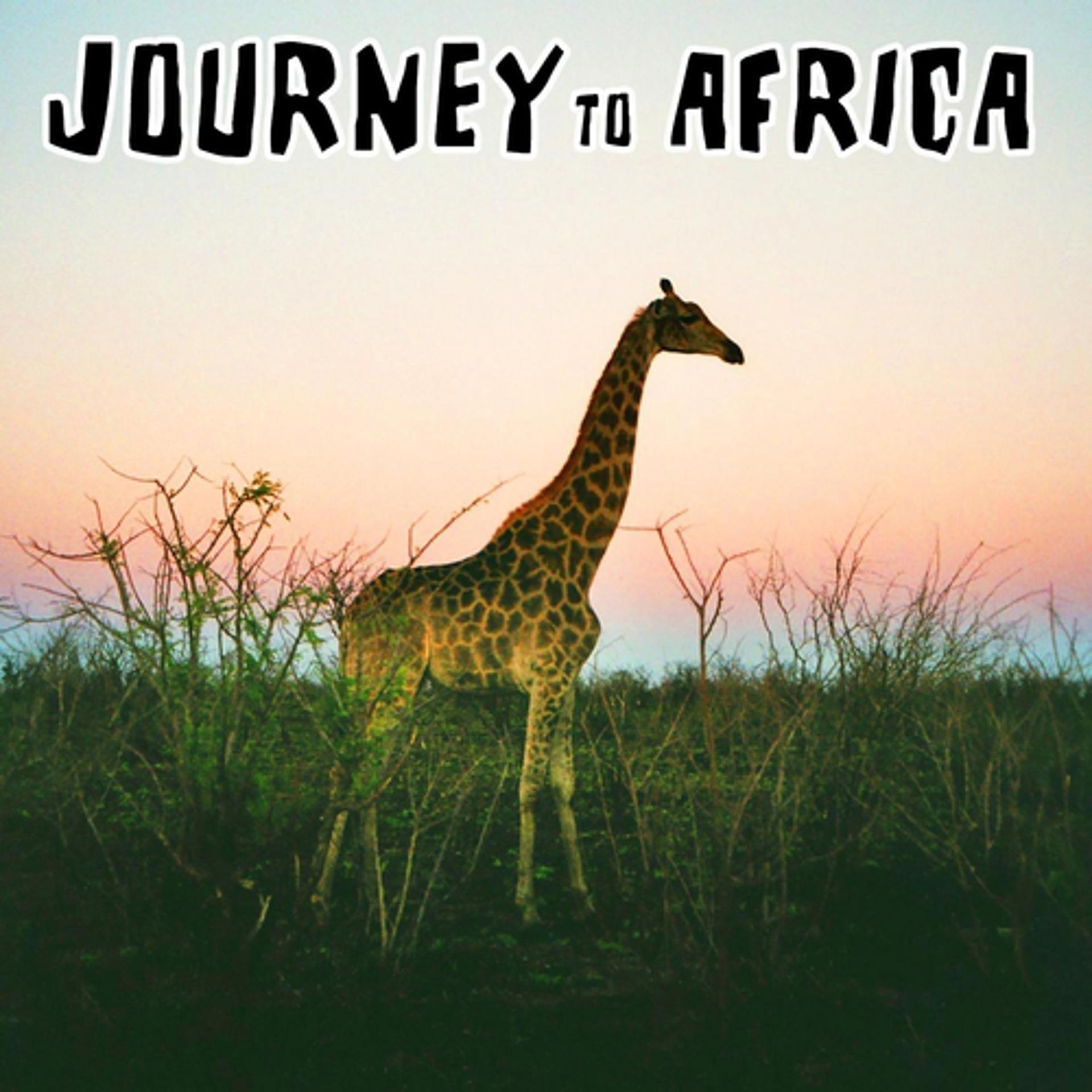 Постер альбома Journey To Africa