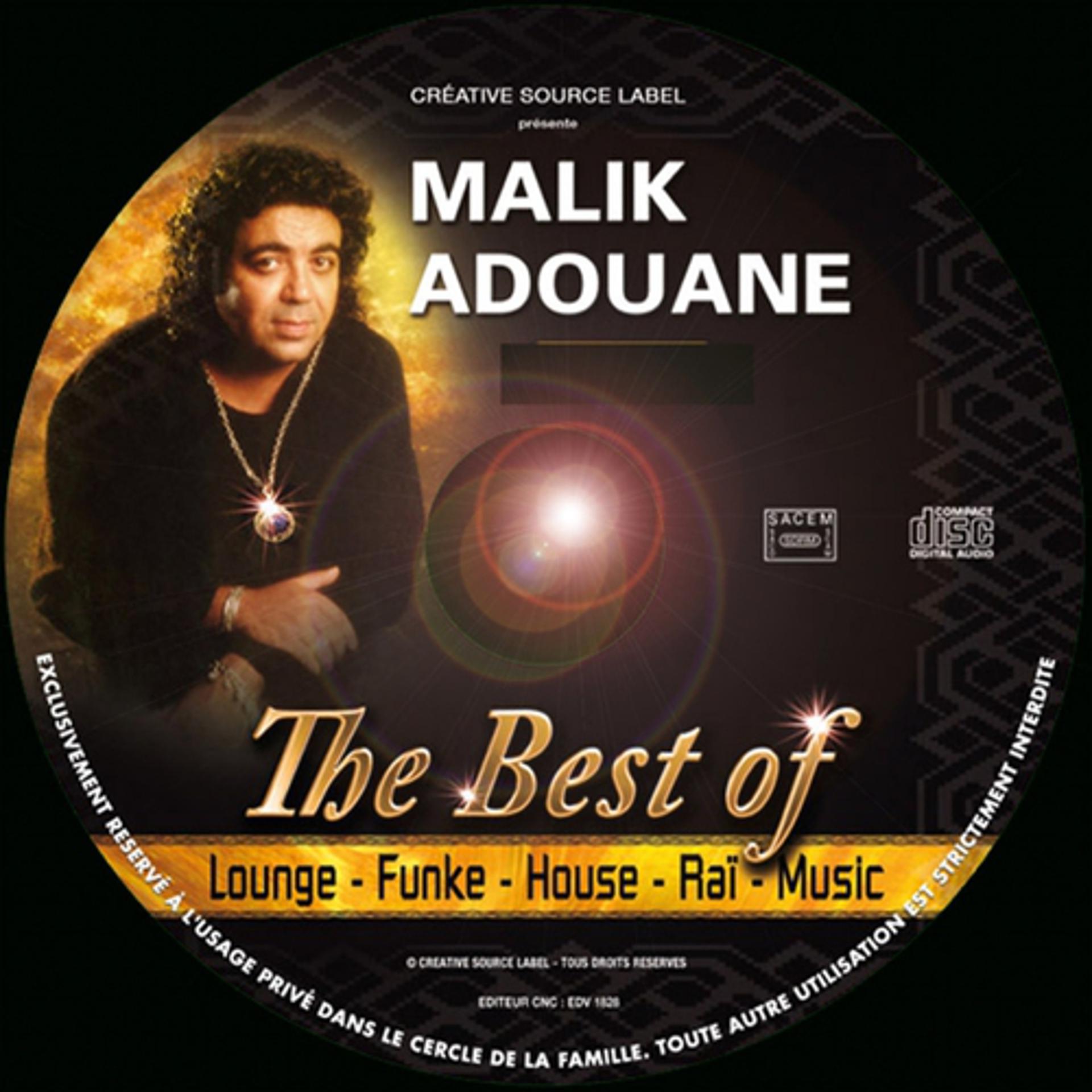 Постер альбома The Best of Malik Adouan