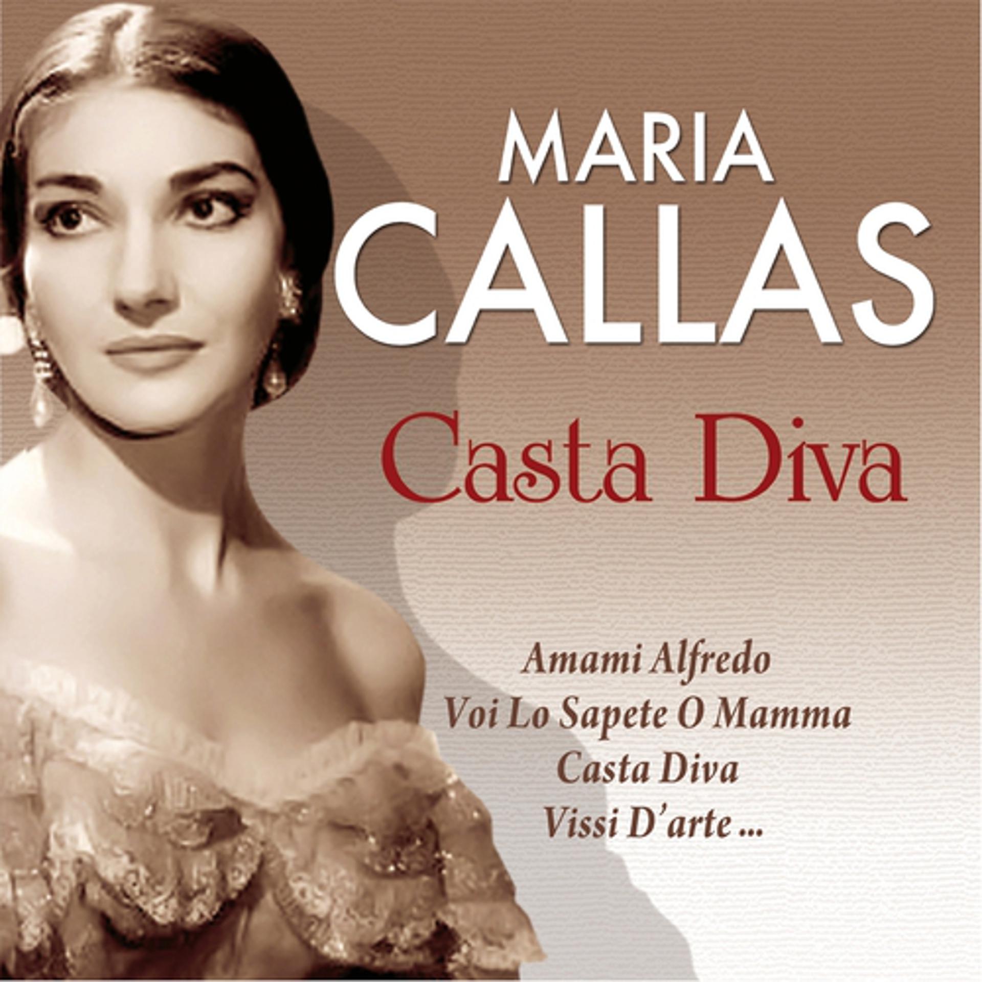 Постер альбома Casta Diva
