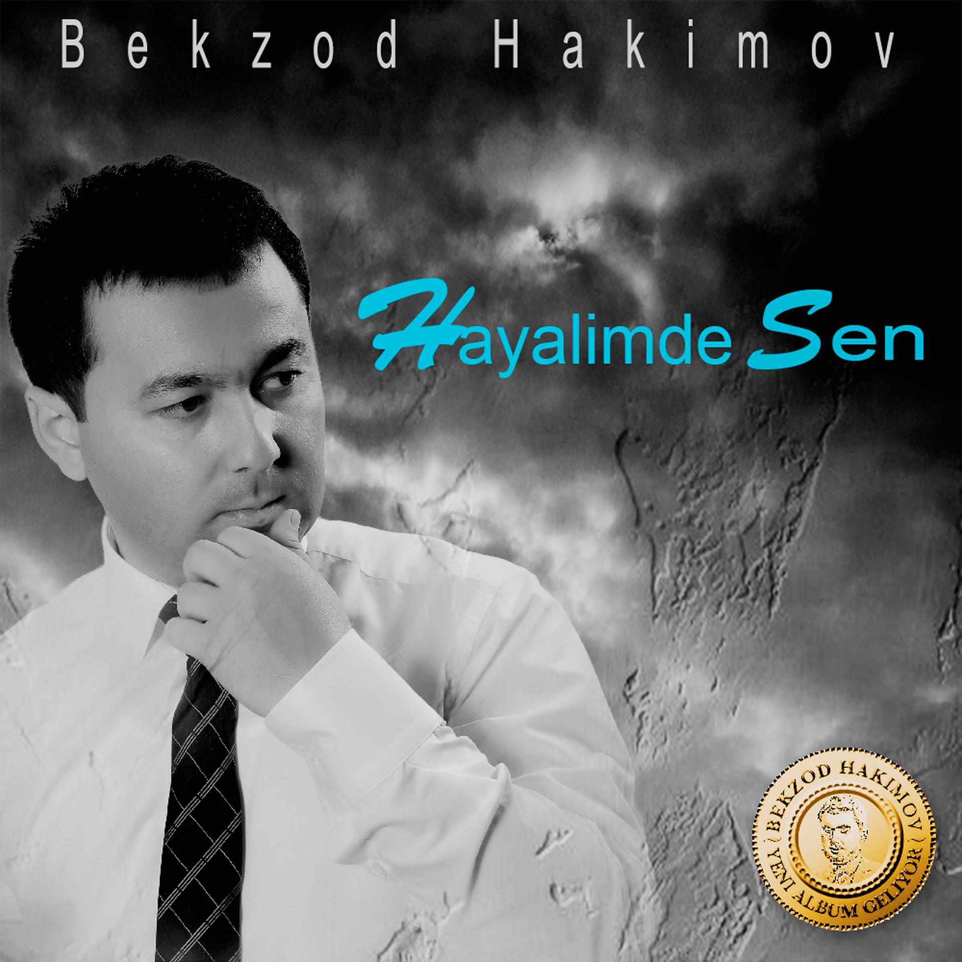 Постер альбома Hayalimde Sen