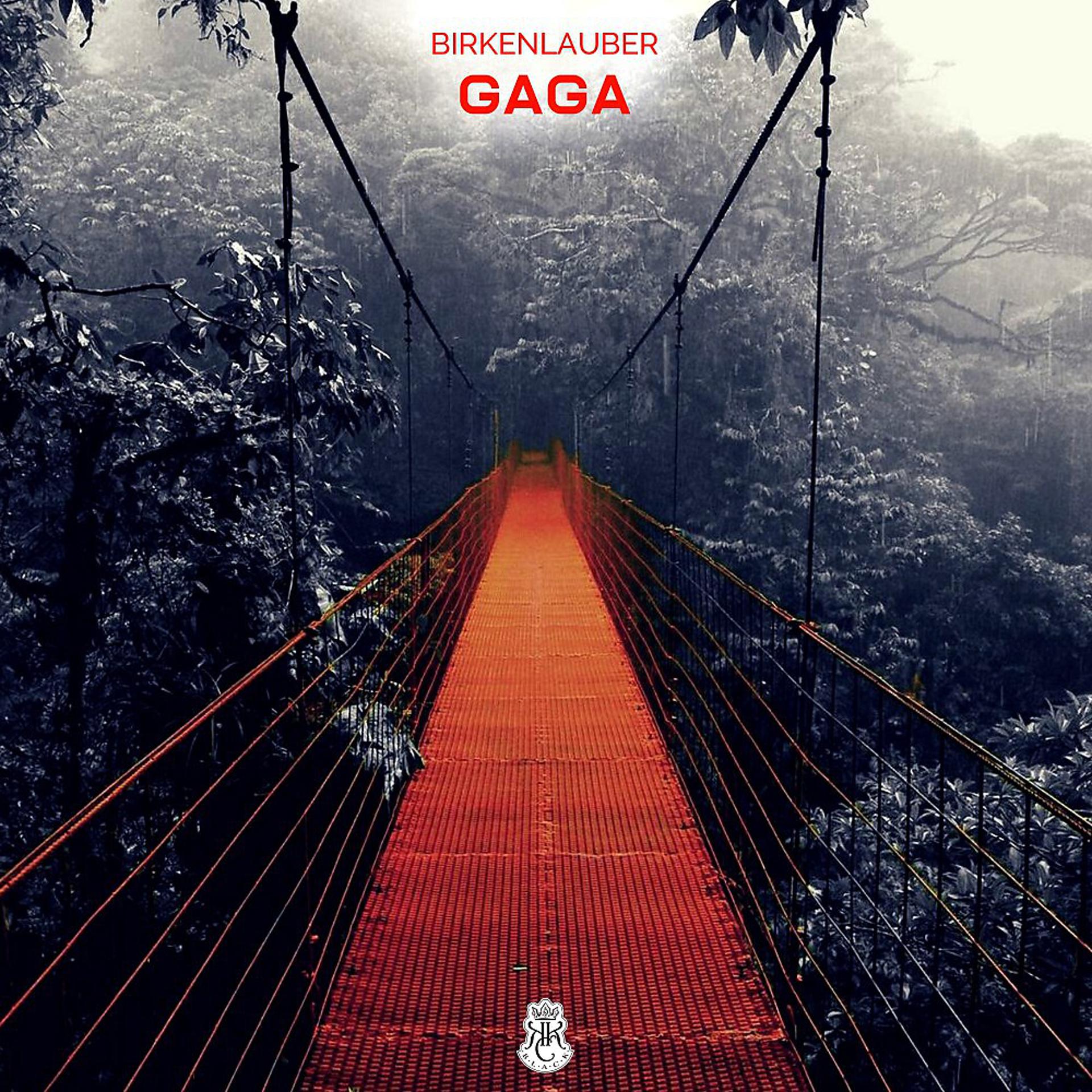 Постер альбома Gaga